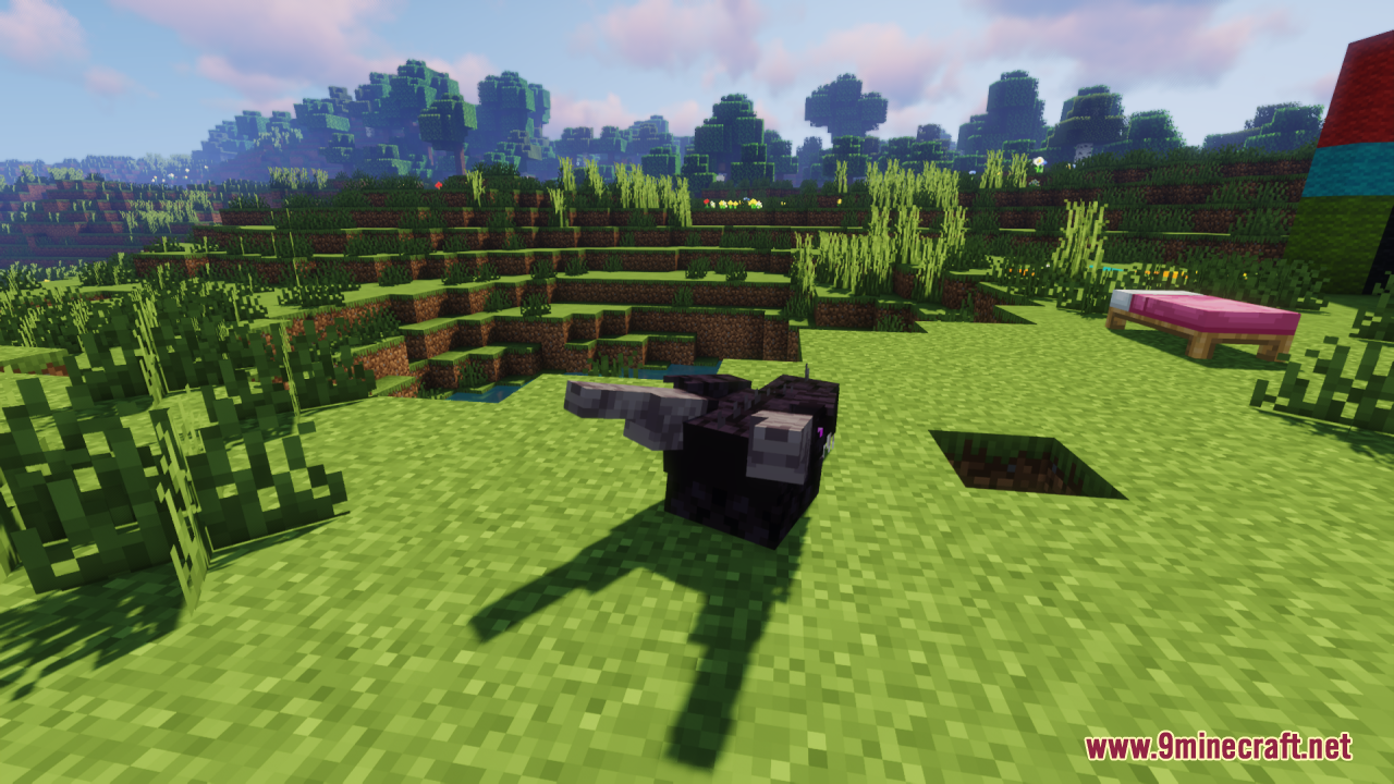 A small black wyvern creature standing on the grass in a Minecraft world