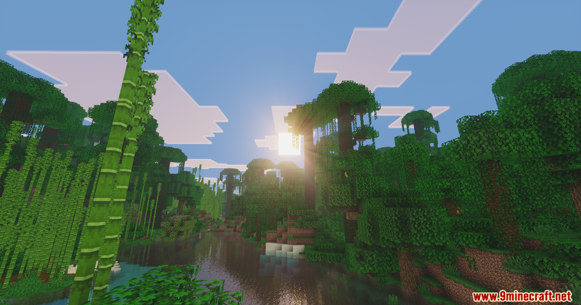 Vibrant sunlight and clouds over a lush jungle with tall bamboo stalks