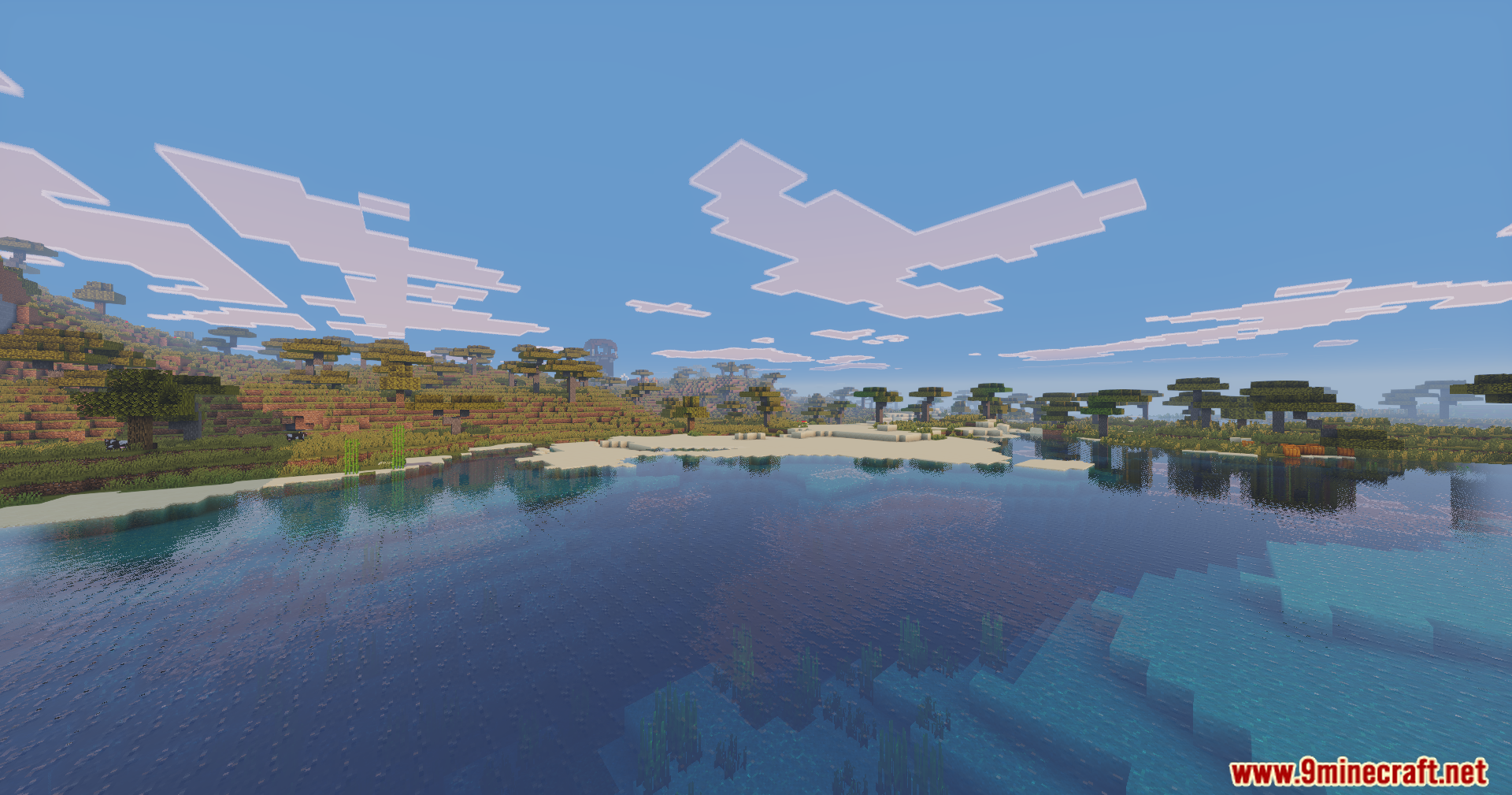 Enhanced Vibrance Edition Shaders adds realistic water reflections to a savanna biome
