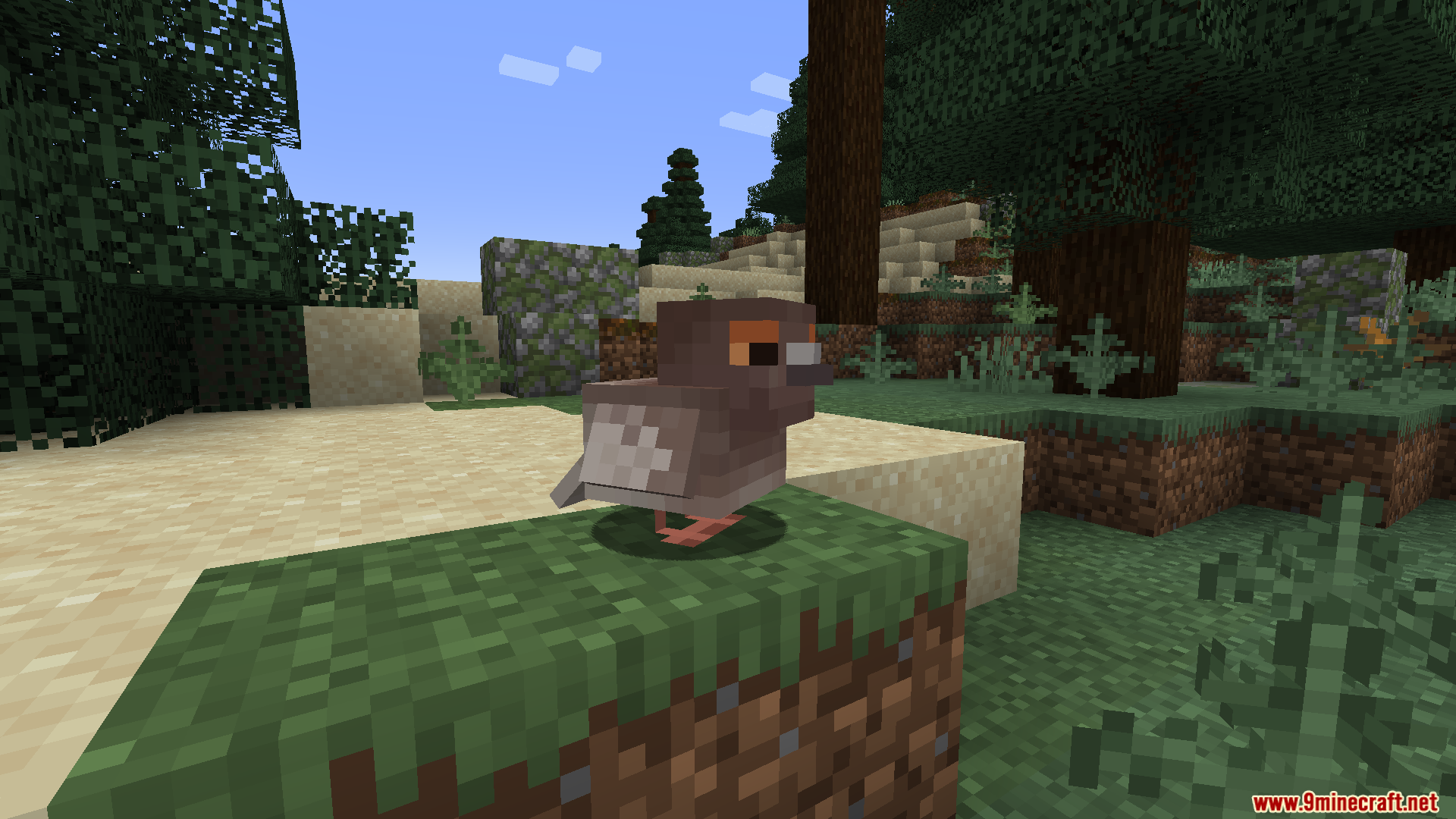Envelope Mod Screenshot 1 A small pigeon mob standing on a grass block near the beach