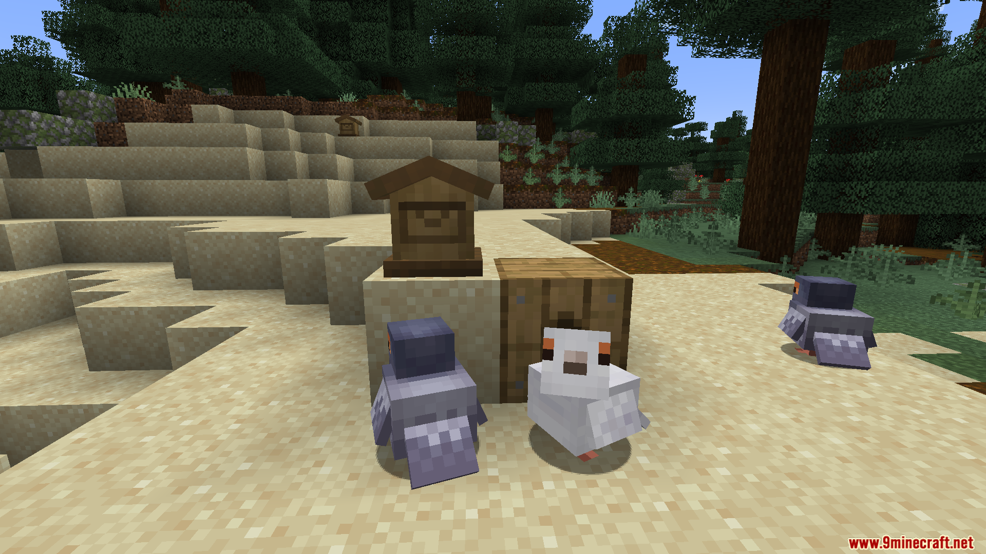 Envelope Mod Screenshot 5 Pigeons standing near a wooden mailbox and pigeonhole on a sandy hill