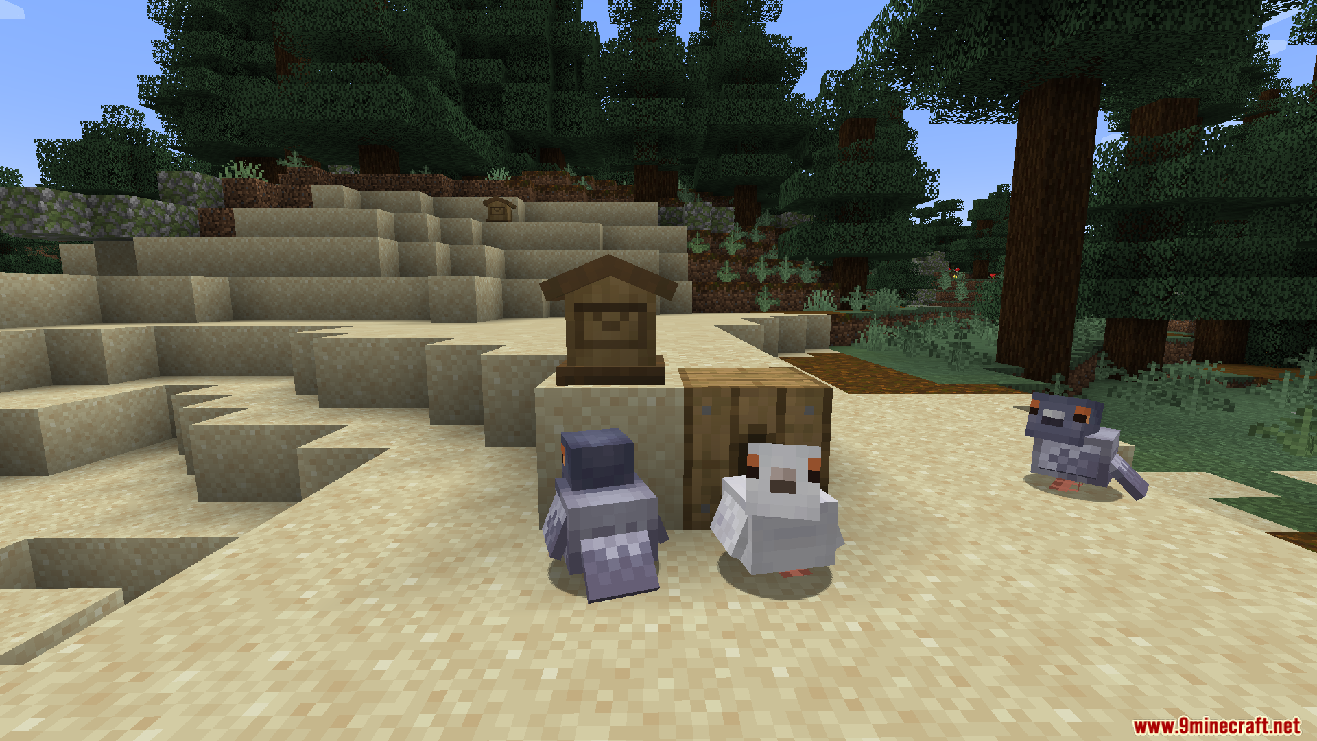 Envelope Mod Screenshot 6 A white pigeon and two grey pigeons gather around a wooden mailbox