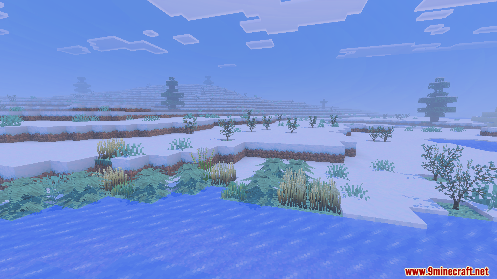 Snowy landscape with frozen water and decorative plants from Expansion Of Nature Addon