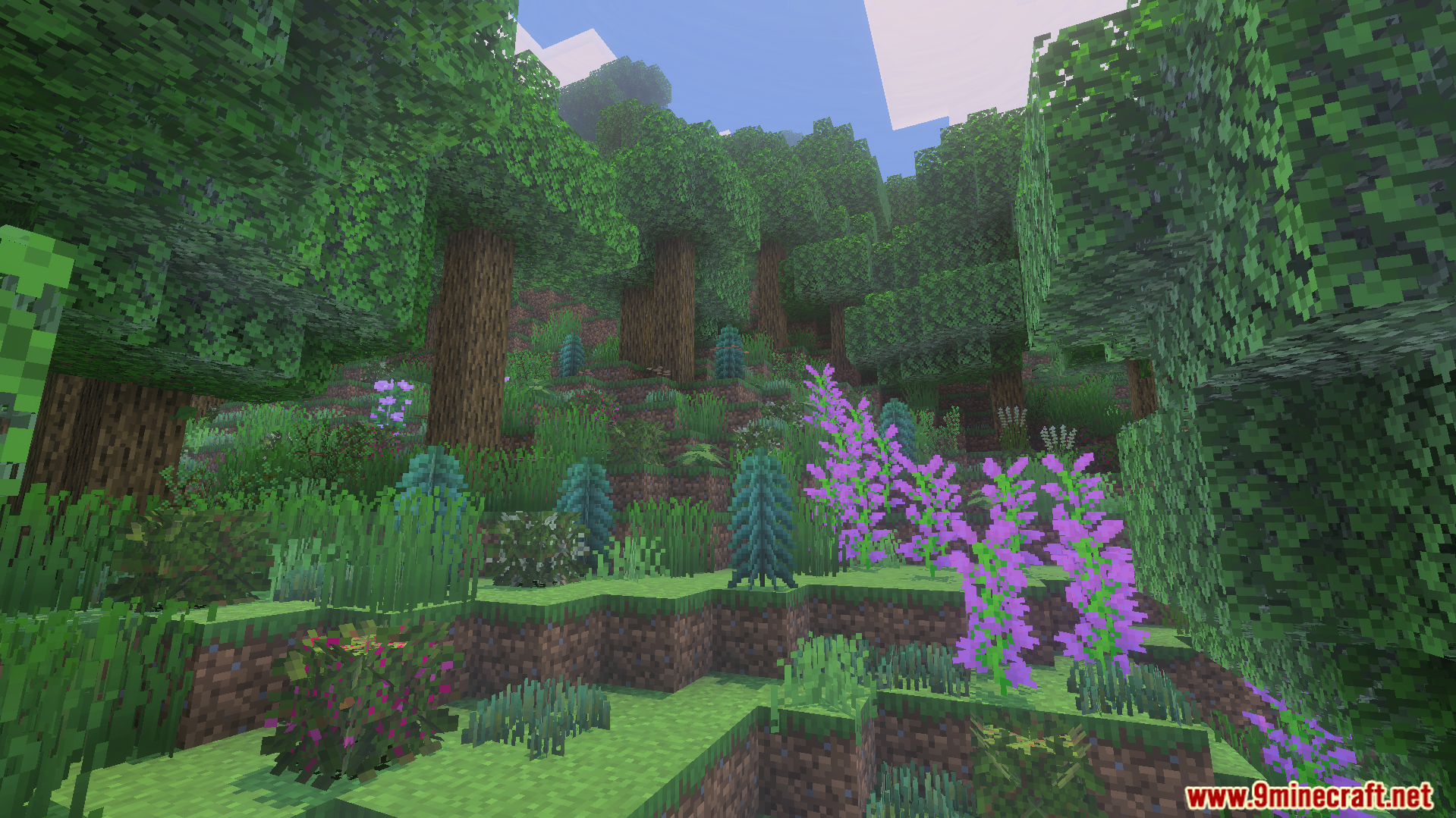 Vibrant purple flowers and small blue plants growing in a dense forest
