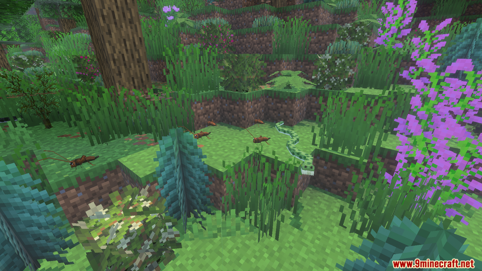Detailed brown insects and a green snake moving through the grass