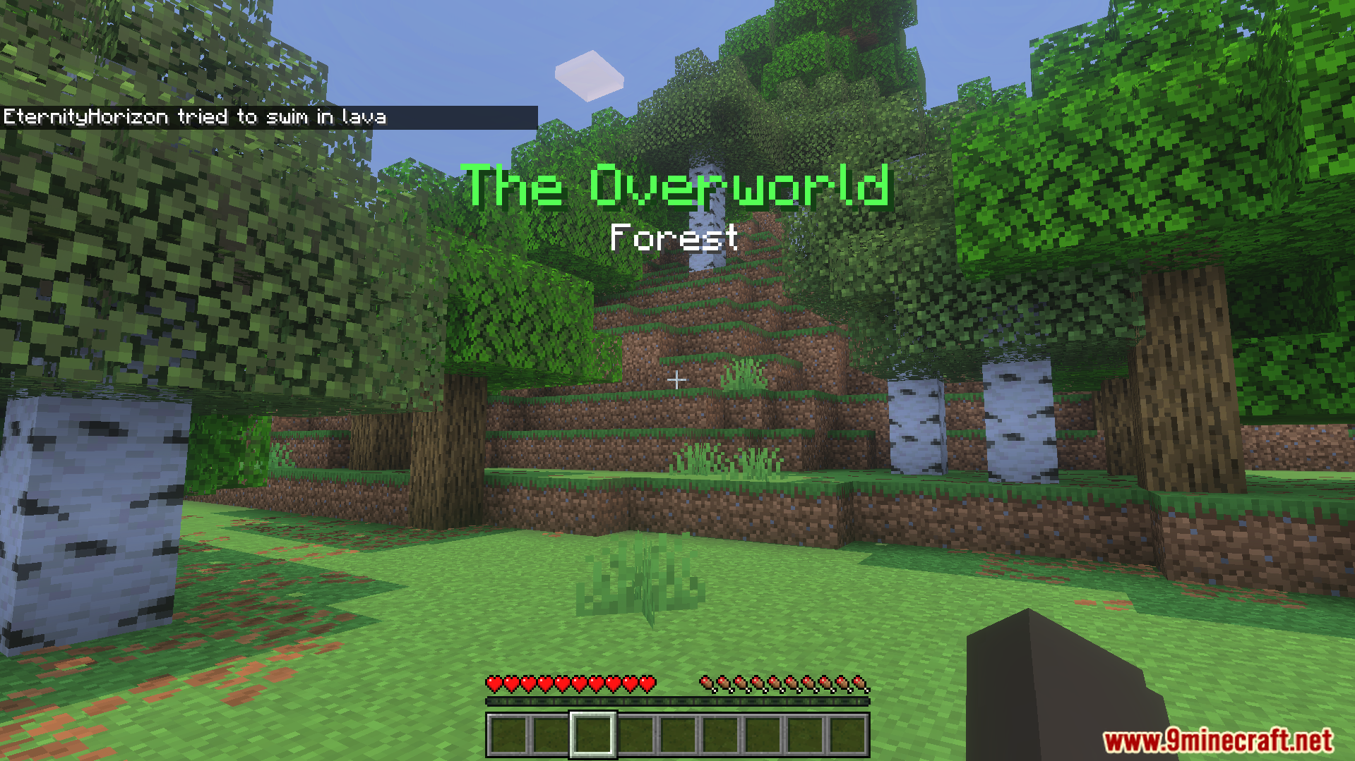 Explorers Title Addon Screenshot 6 The Overworld Forest title appears on screen while walking through birch trees