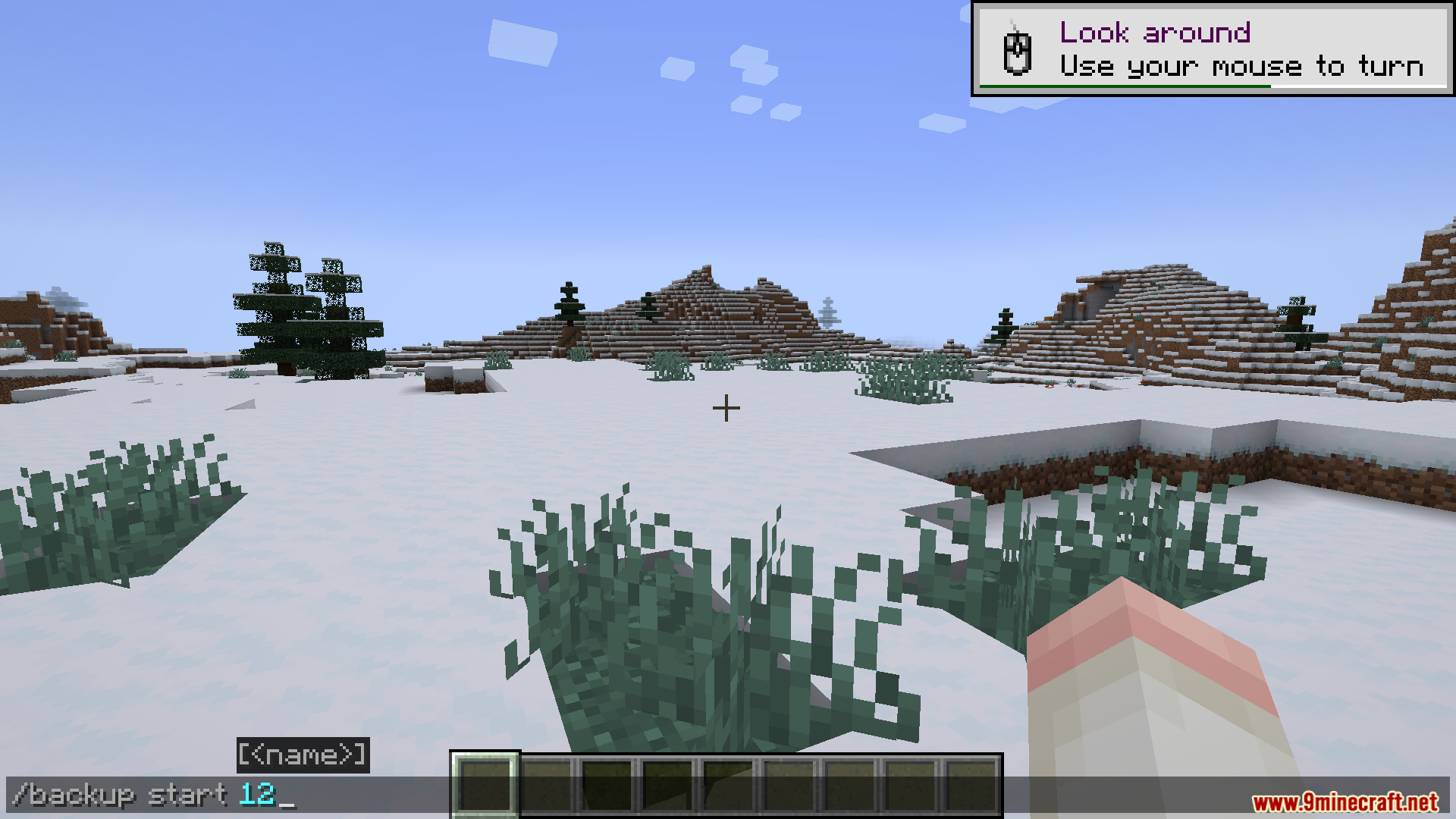 FTB Backups 3 Mod Screenshot 3 A player types a command in chat to start a manual backup