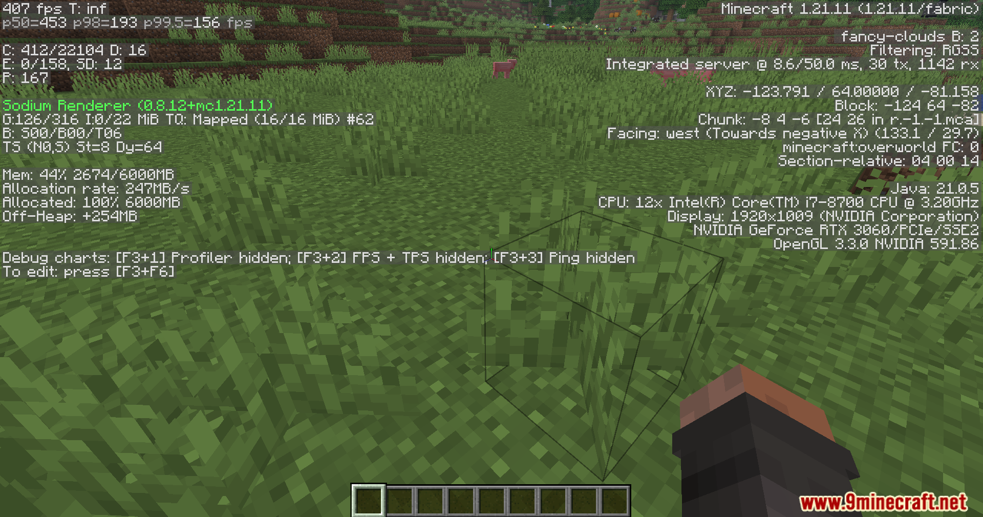 Player looks at grass blocks while debug menu displays high fps