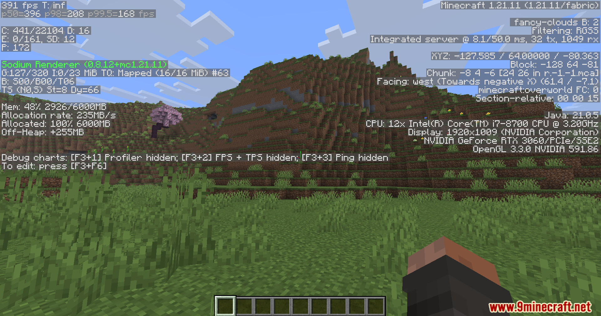 Minecraft landscape with debug screen showing high frame rates