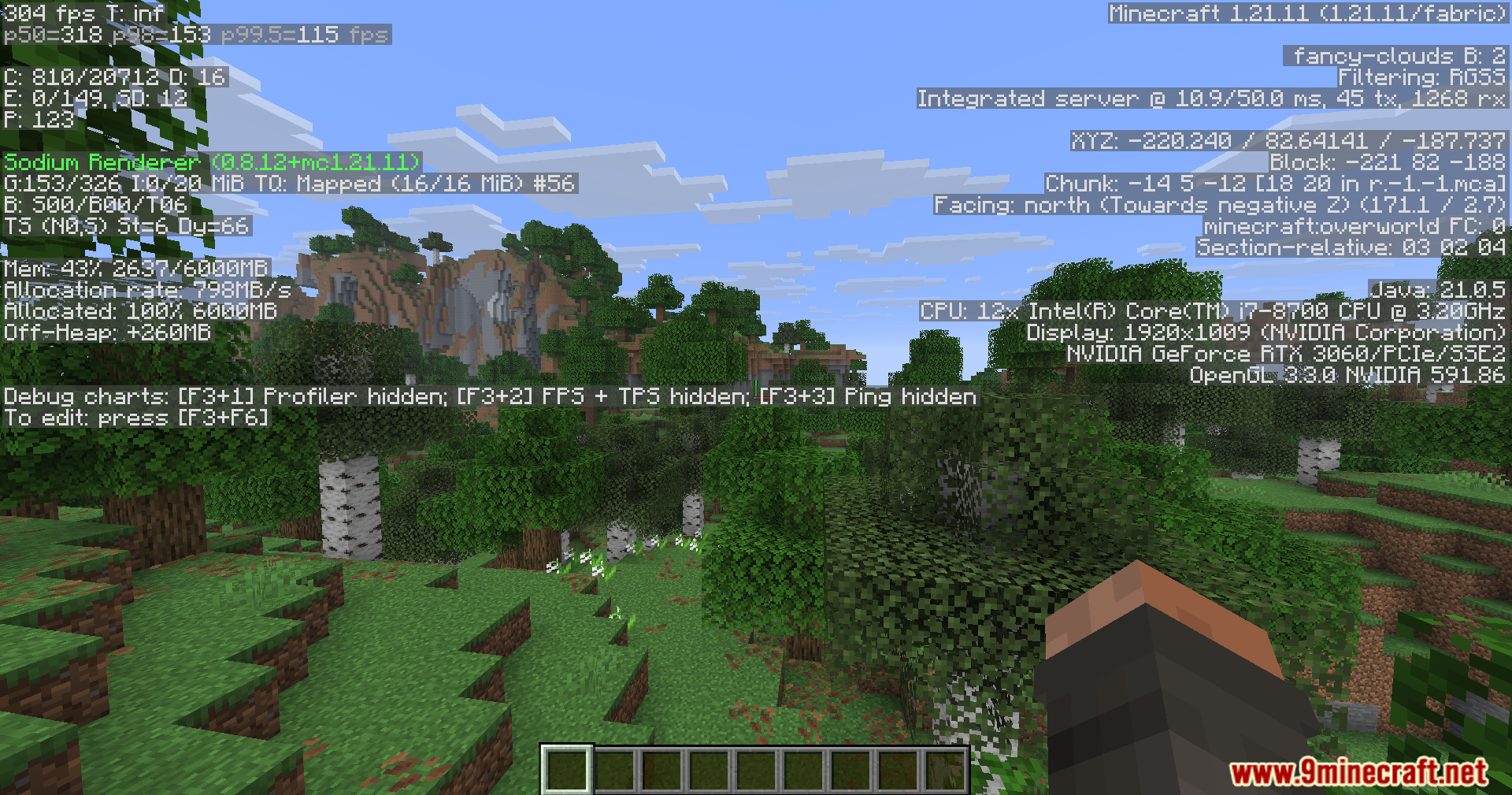 Minecraft forest view with F3 debug screen showing performance data