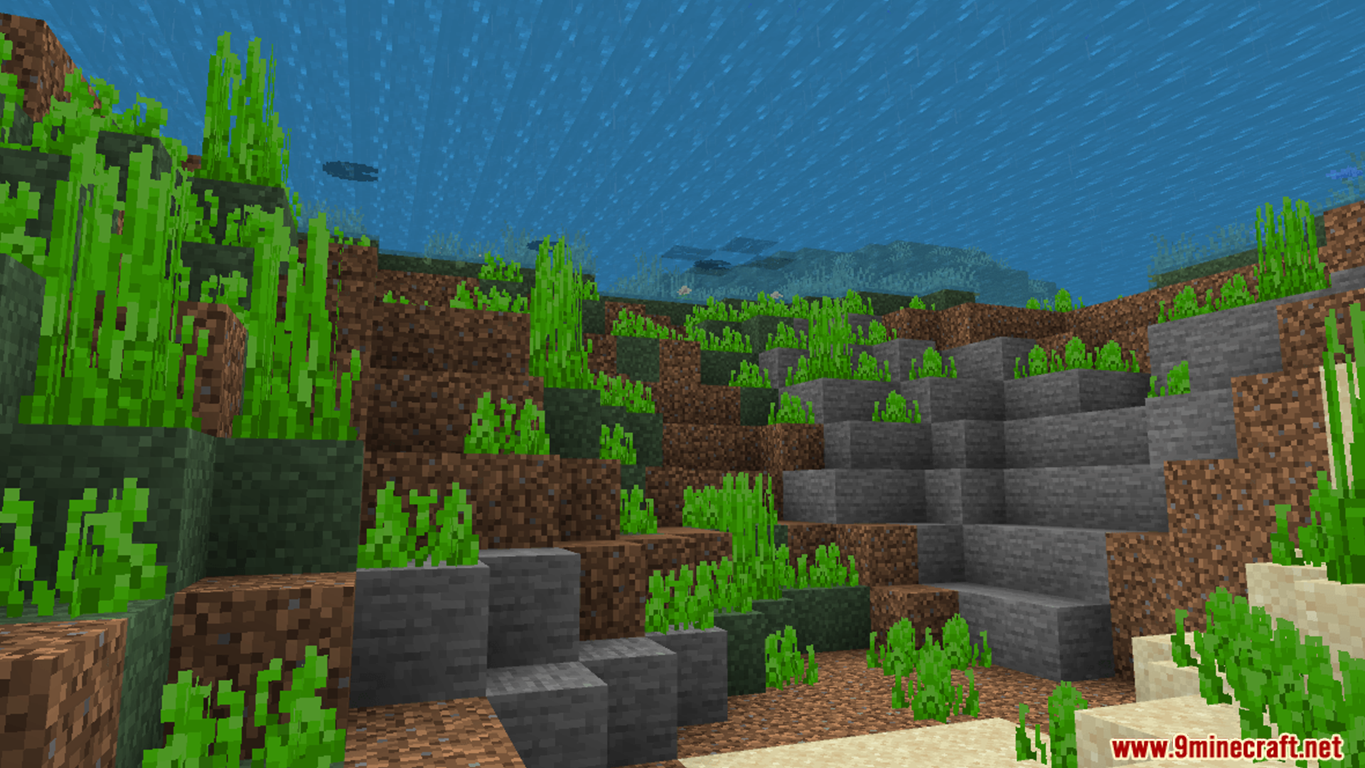 Clear underwater view with seaweed and blocks visible without any dark fog