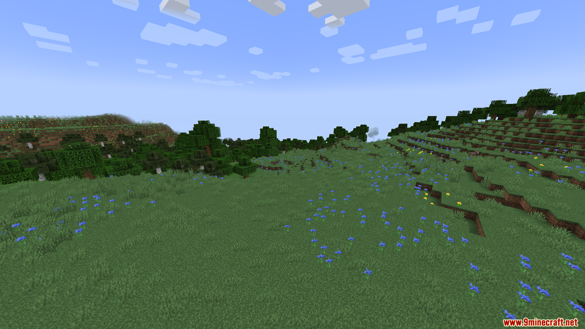 Gnetum Mod Screenshot 6 A wide grassy field with blue flowers and trees in the distance
