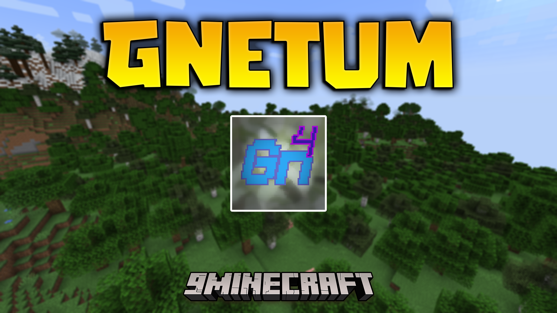 Gnetum Mod