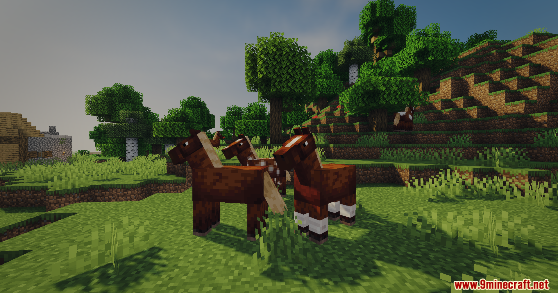 Three brown horses standing in a grassy field with bright sunlight and shadows