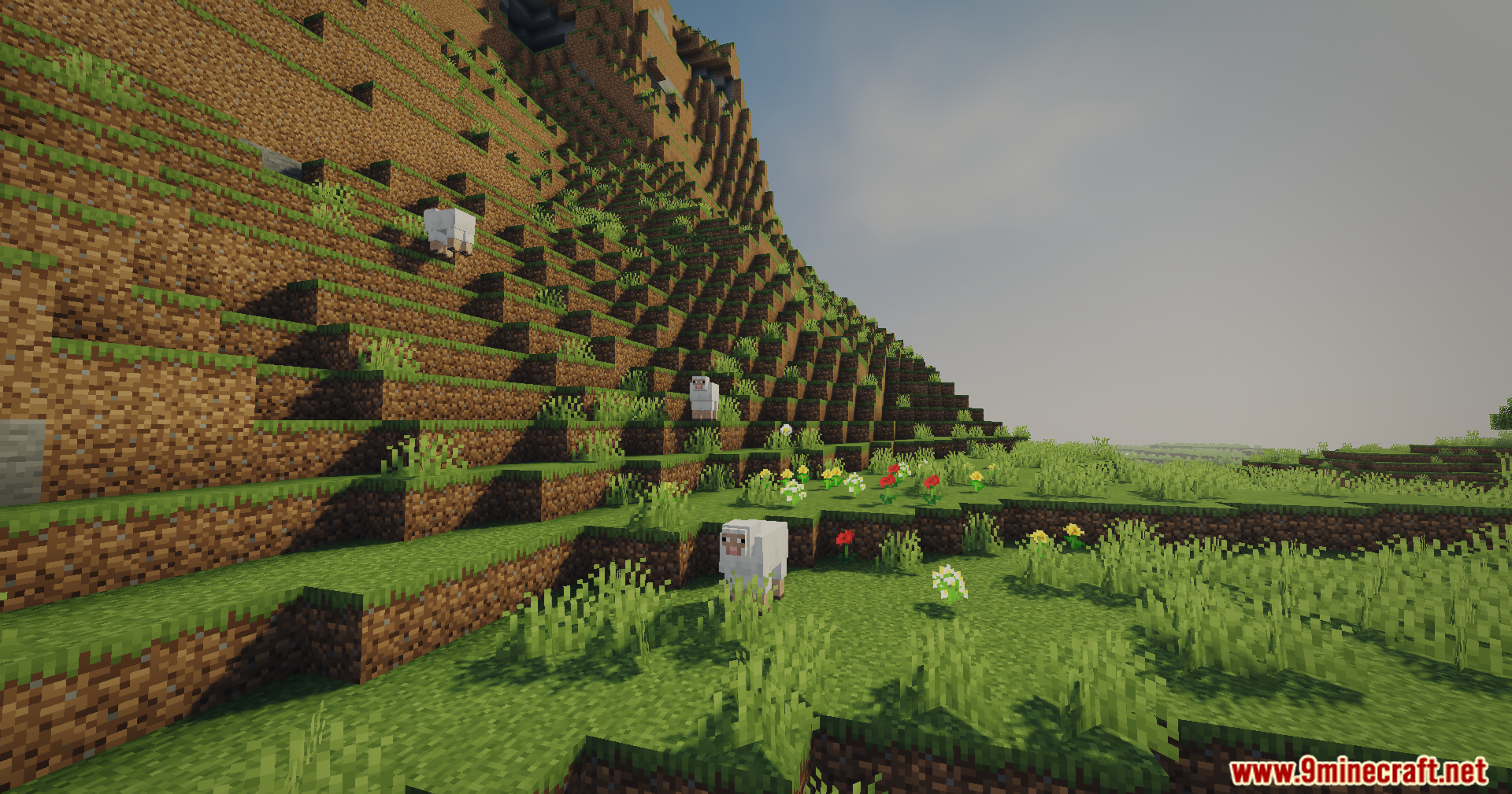 White sheep grazing on a grassy hillside with vibrant flowers and soft shadows