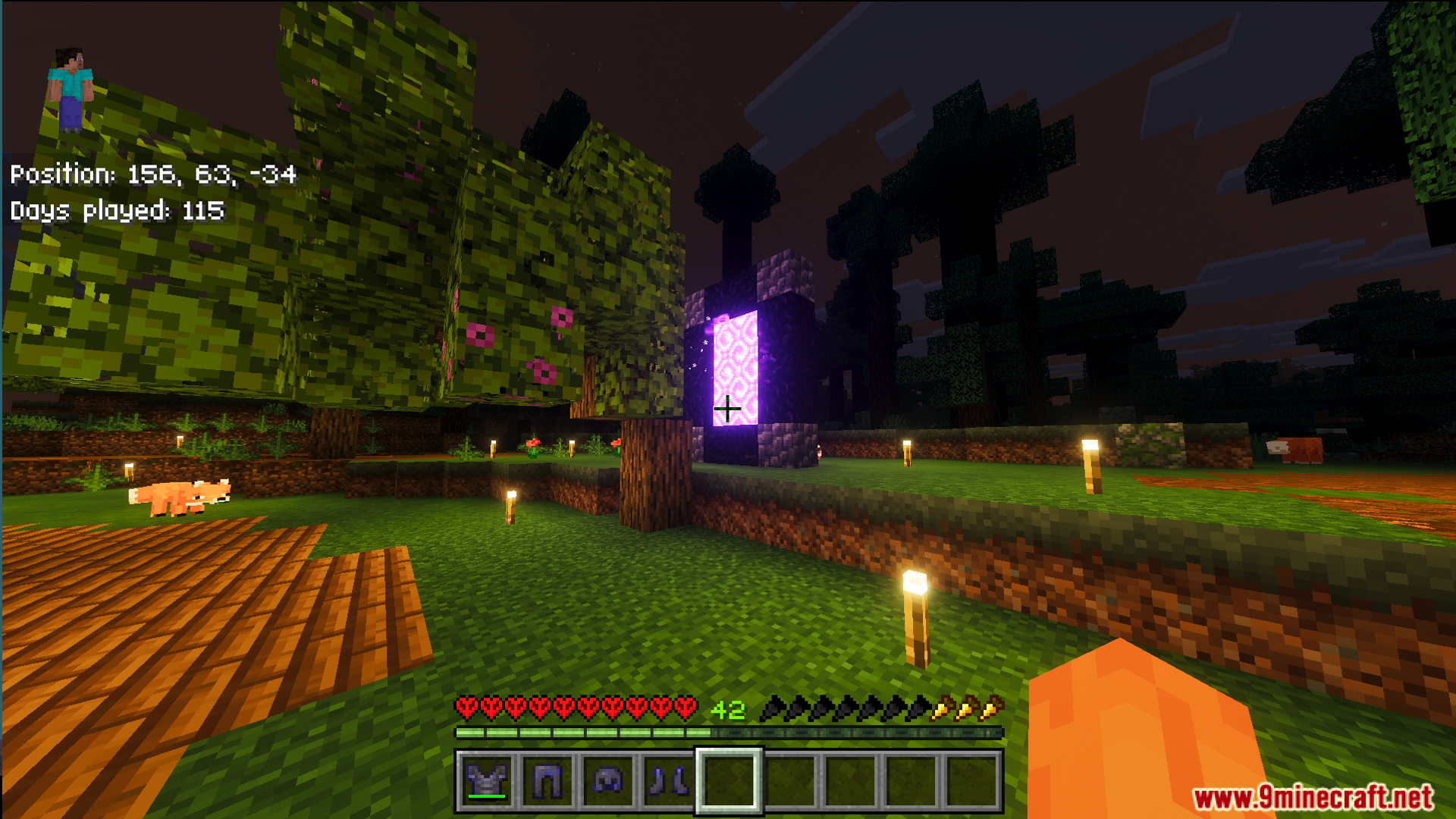 Player with enchanted diamond armor standing near a nether portal and fox