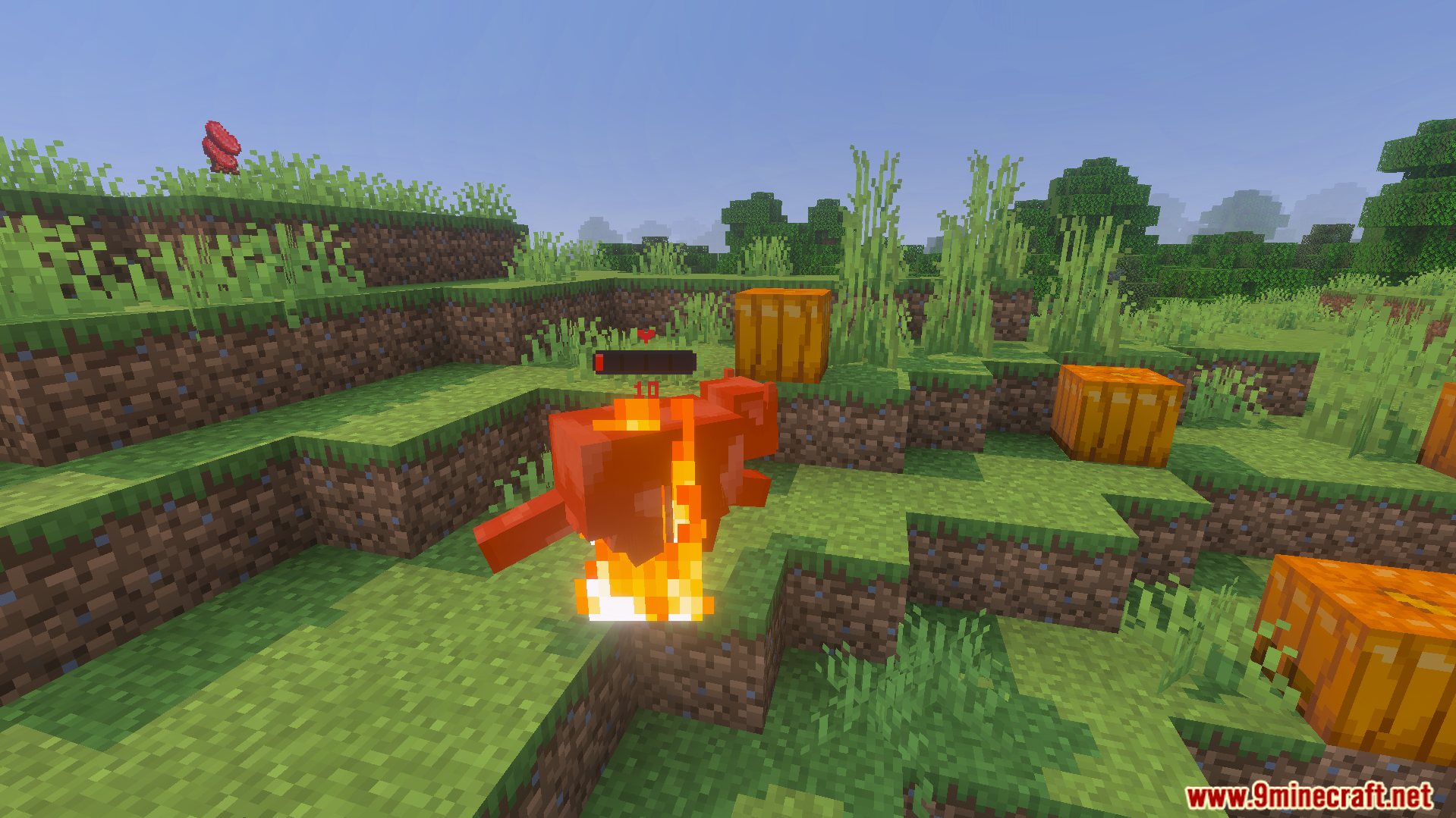 Health Bar Indicator Texture Pack Screenshot 1 Health Bar Indicator Texture Pack showing a red bar above a burning fox
