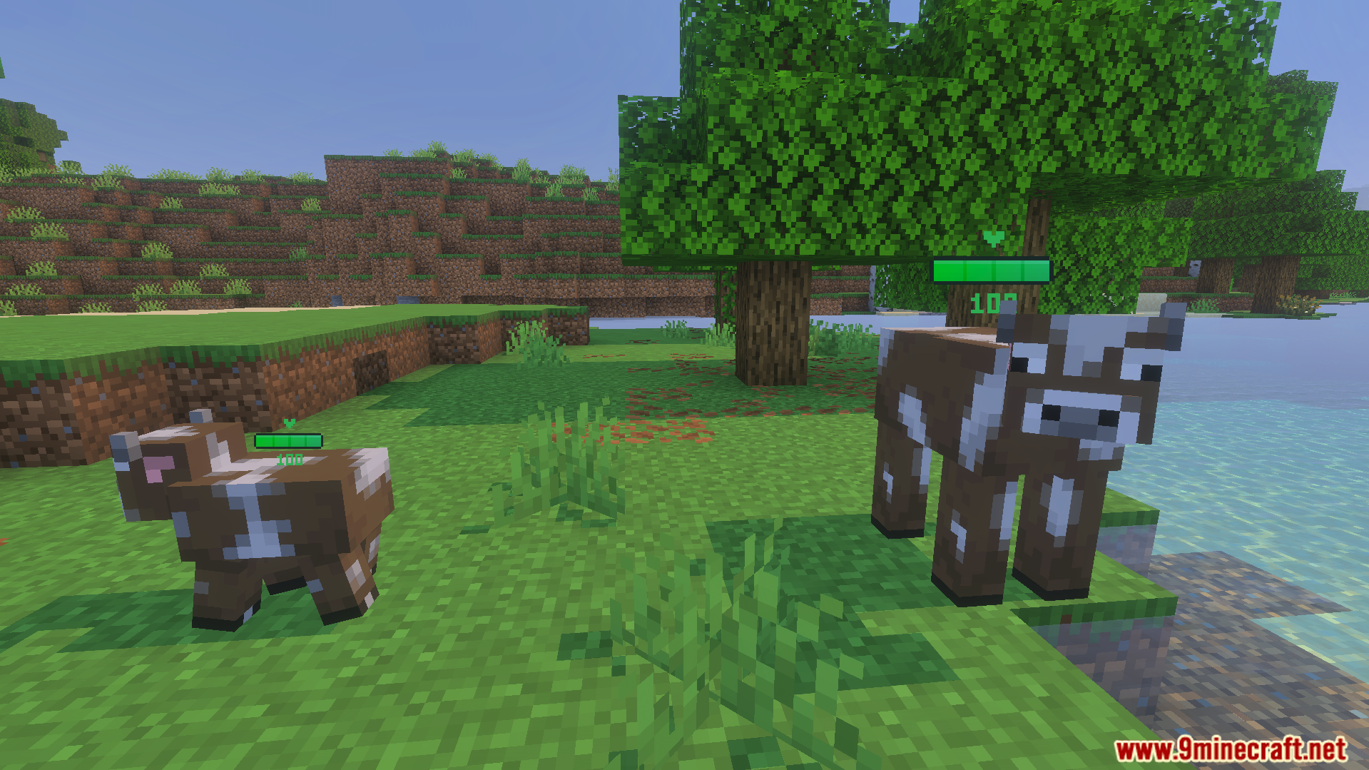 Health Bar Indicator Texture Pack Screenshot 2 Green health bars displayed above an adult cow and a baby cow