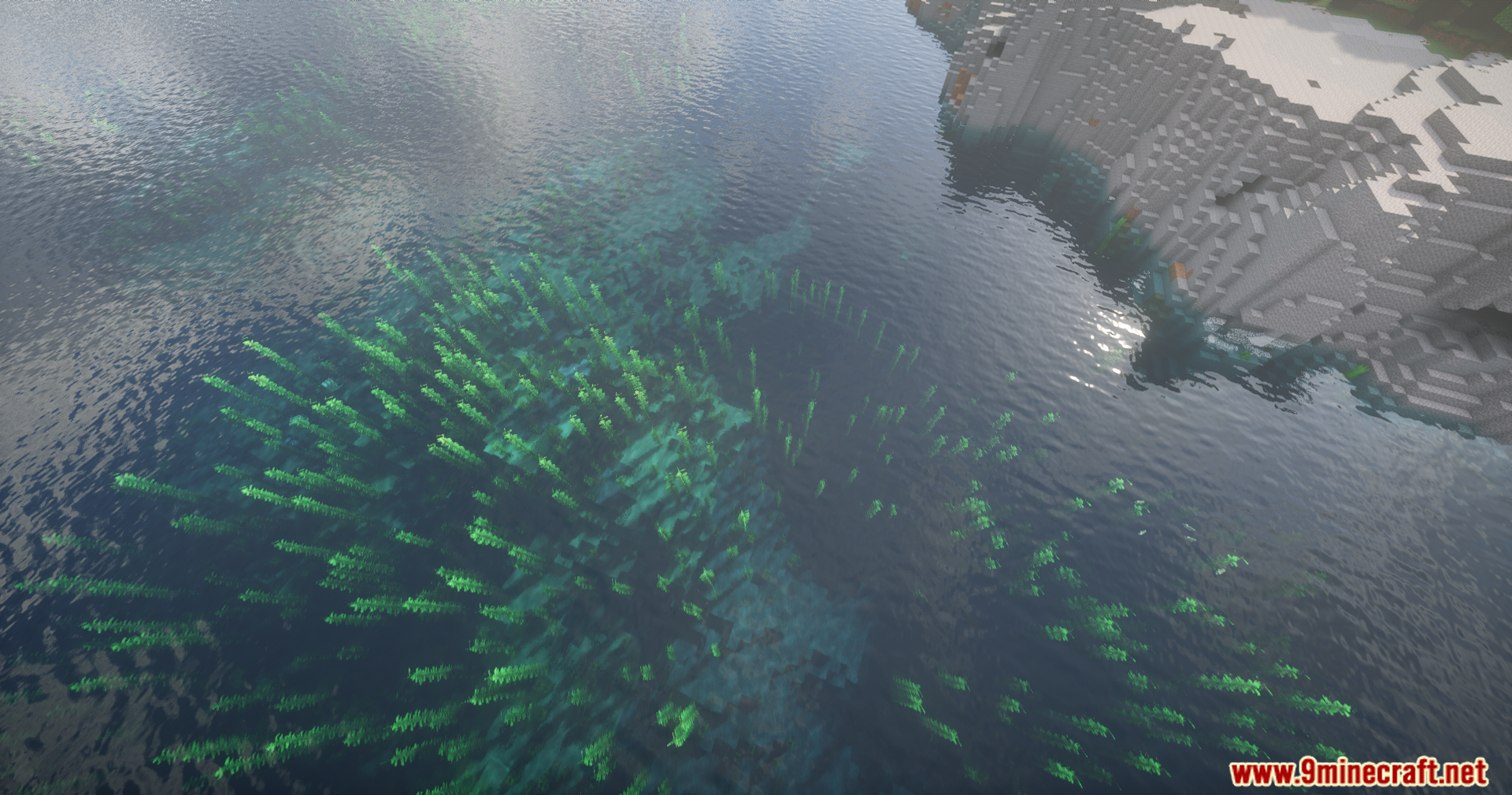 Helian MMCO Sundial Lite Edit Shaders Screenshot 4 Vibrant green kelp plants swaying under the surface of clear blue ocean water