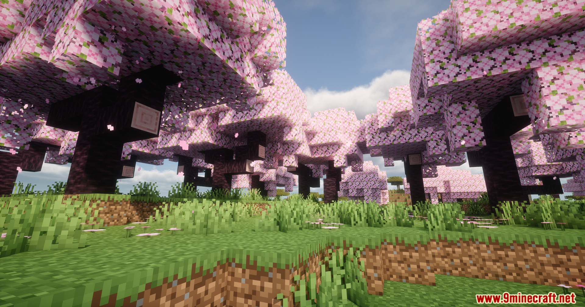 Helian MMCO Sundial Lite Edit Shaders Screenshot 8 Beautiful pink cherry blossom trees with dark trunks under a bright sunny sky