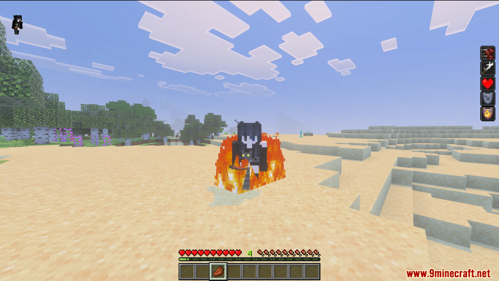 Third person view of player character surrounded by a ring of fire