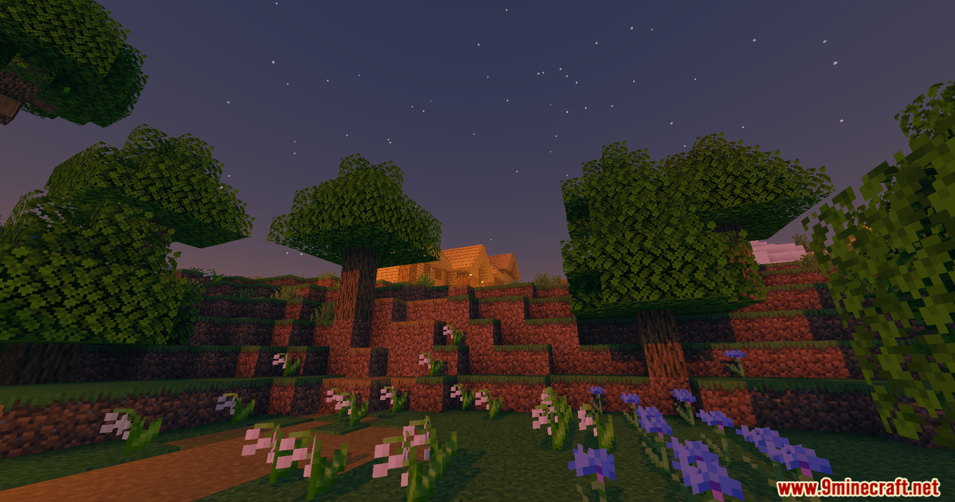 High Frames Plus Shaders Screenshot 8 Colorful flowers grow on a grassy slope beneath a clear starry night sky