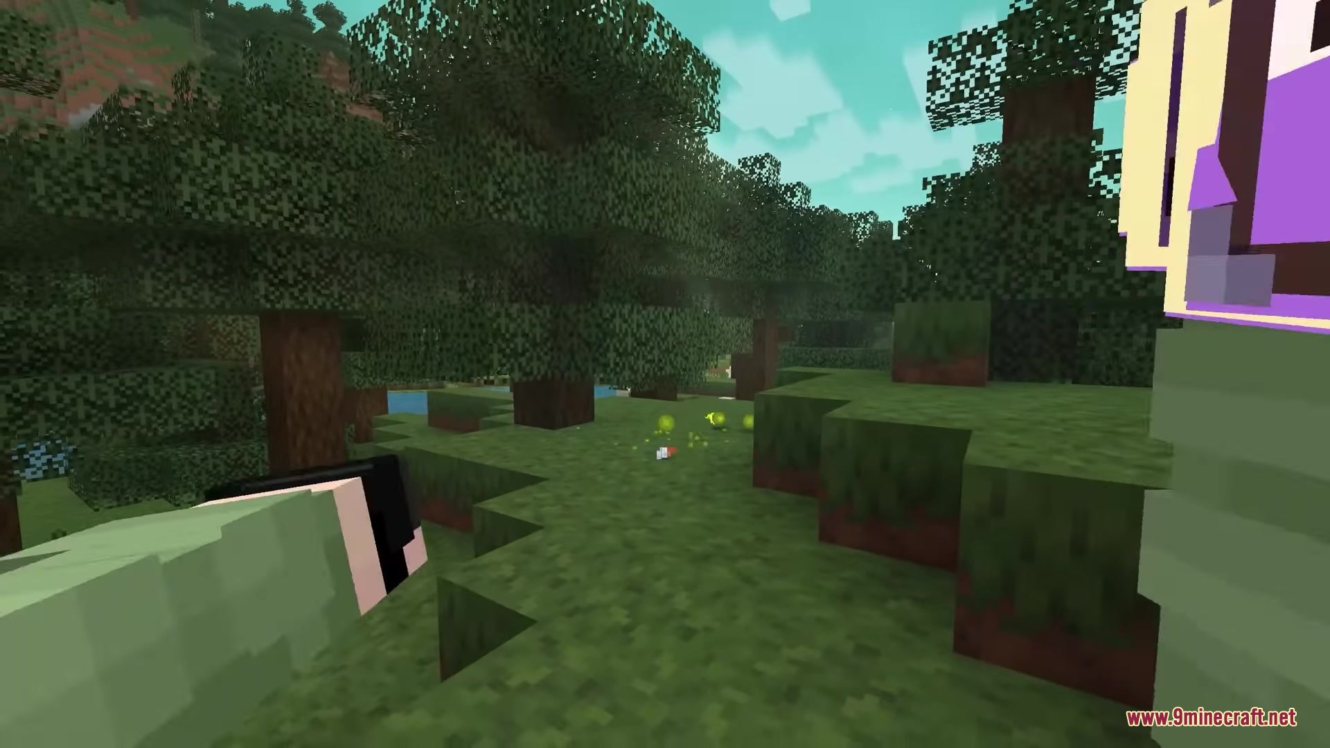 Small green particles appear on the grass after an item is thrown