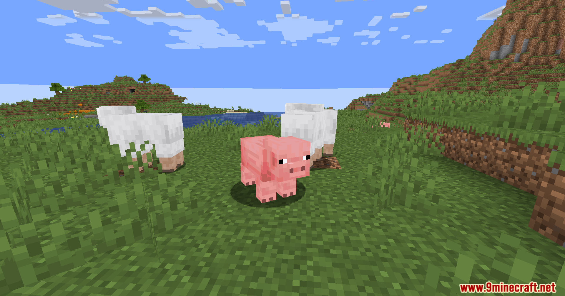 A pink pig and two white sheep standing in a grassy field