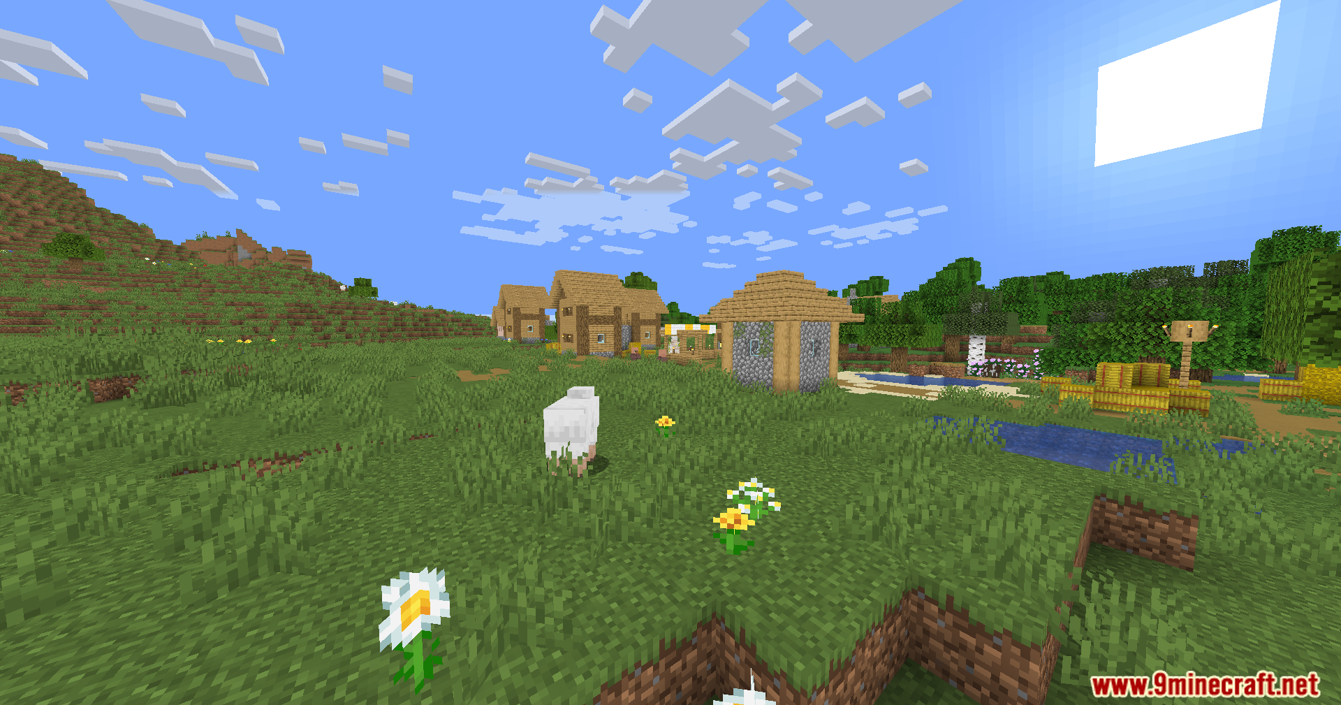 A white sheep stands in a grassy field near a peaceful village