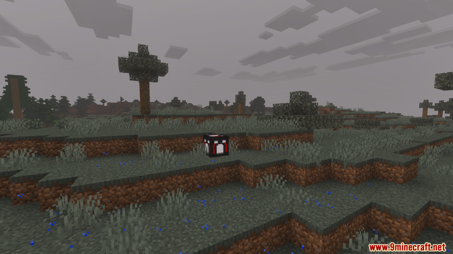 Horror Environment Addon Screenshot 5 A mysterious lucky block in the dark world of Horror Environment Addon