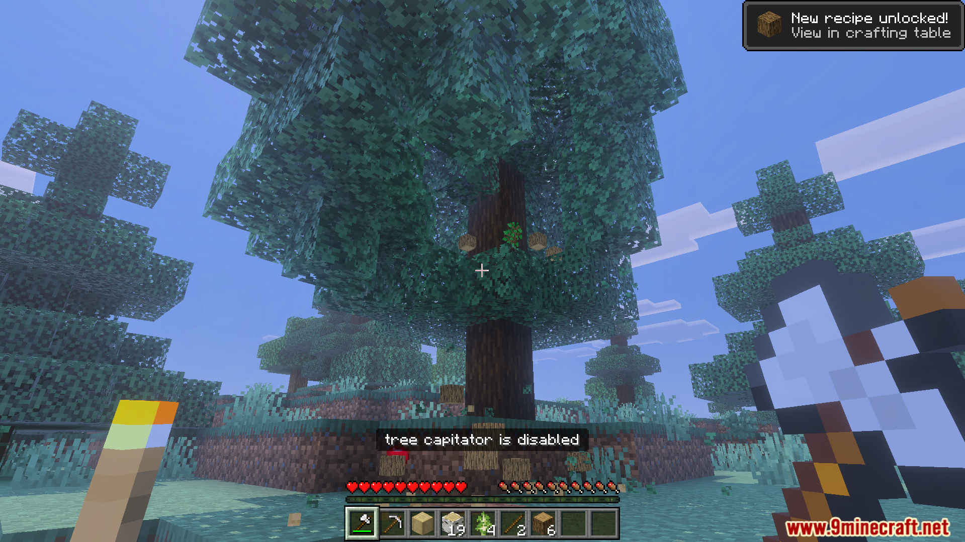 Howard Survival Addon Screenshot 4 Player standing in front of a dark oak tree with tree capitator disabled