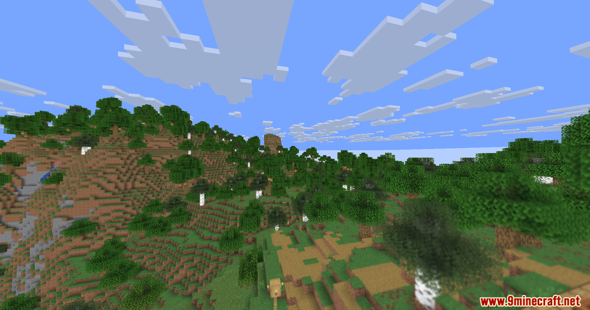 Nearby grass and birch trees are blurry while the distant landscape is sharp