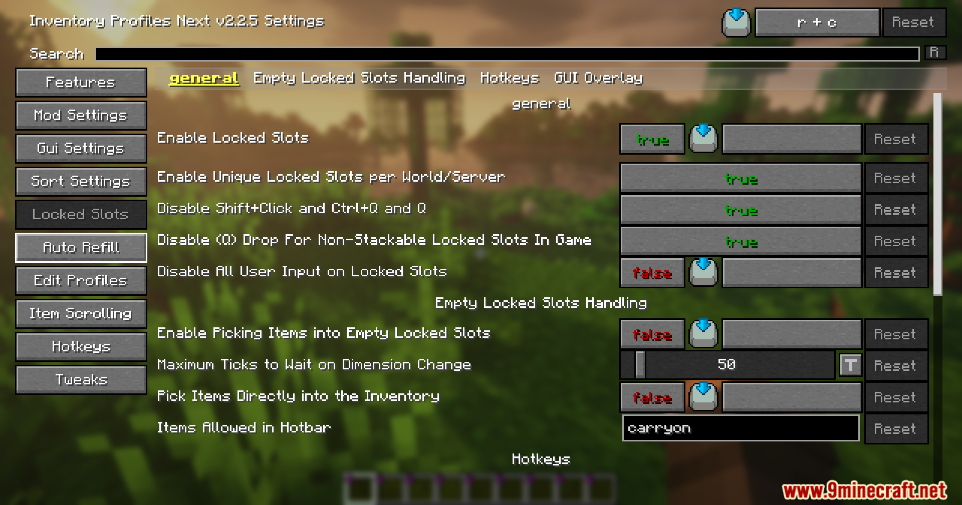 InvTweaks Emu for IPN Mod Screenshot 7 Settings menu for managing locked inventory slots in the Inventory Profiles Next mod