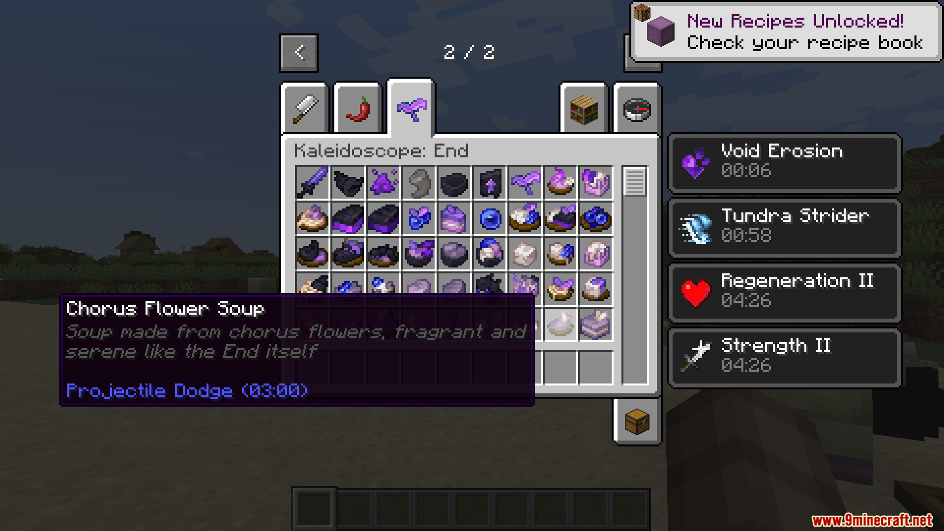 Kaleidoscope End Mod Screenshot 13 Minecraft inventory displaying Chorus Flower Soup item and active status effects