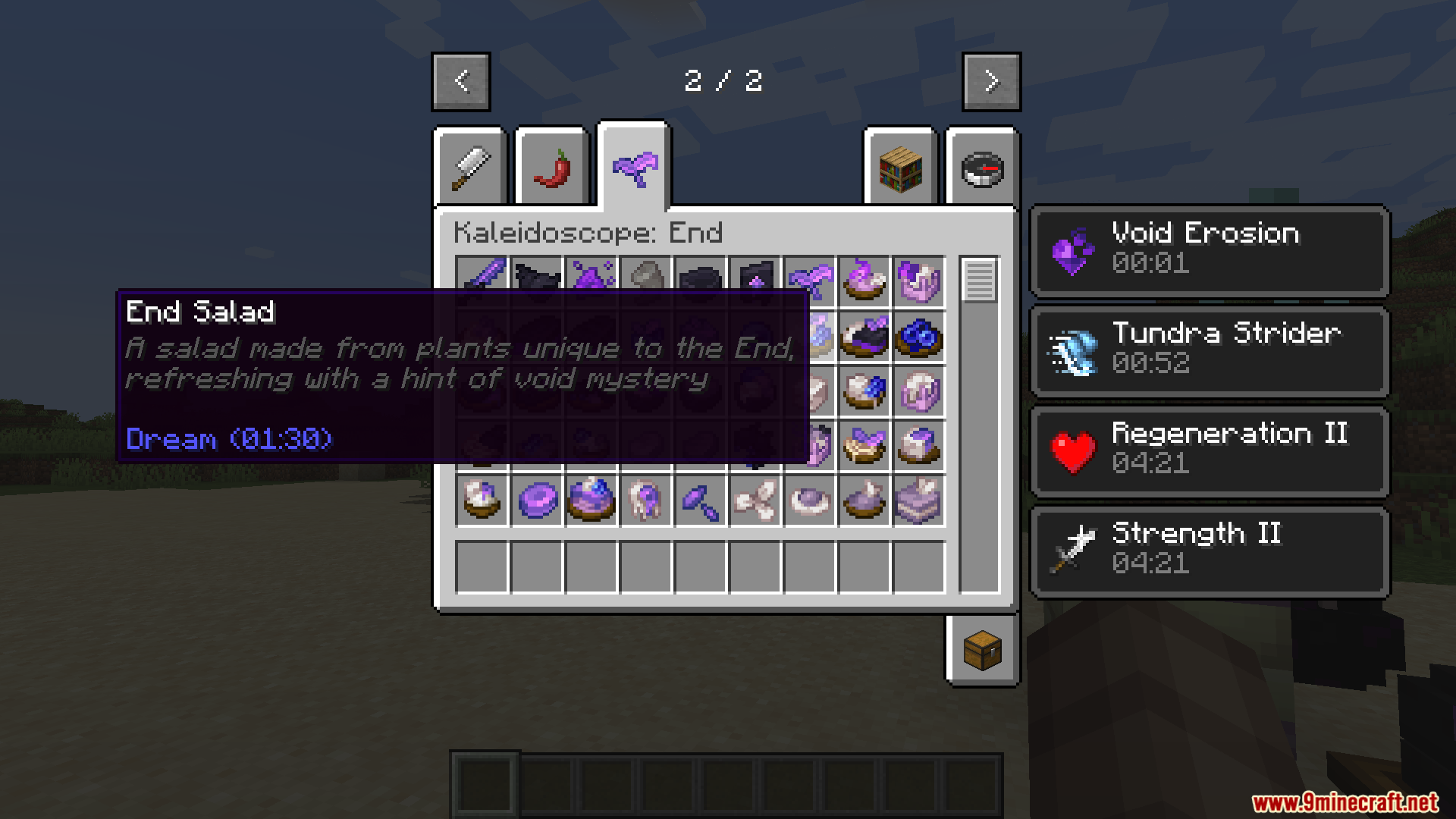 Kaleidoscope End Mod Screenshot 15 Minecraft inventory showing End Salad tooltip and active status effects