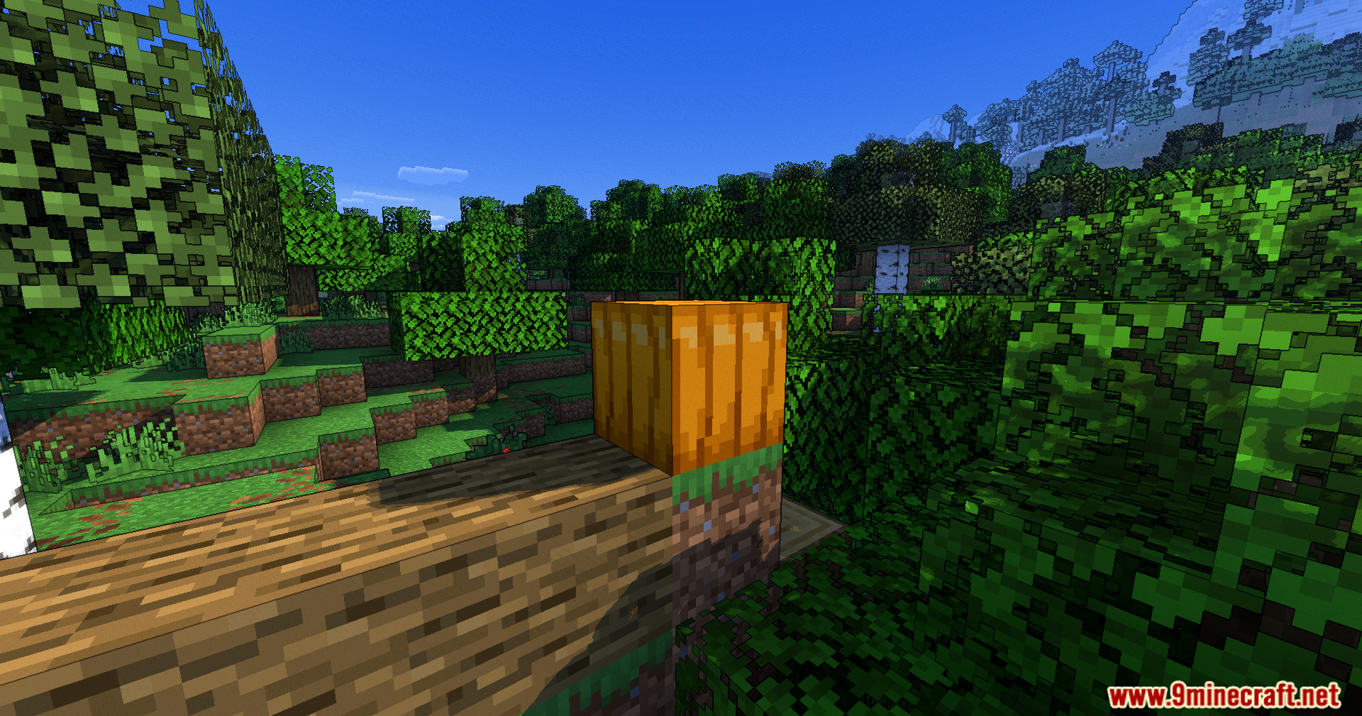 A pumpkin block sits on grass with sharp ink outlines and vibrant colors
