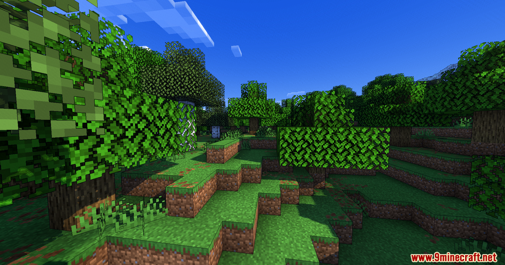 Vibrant forest landscape with cel shaded lighting and sharp ink outlines on blocks