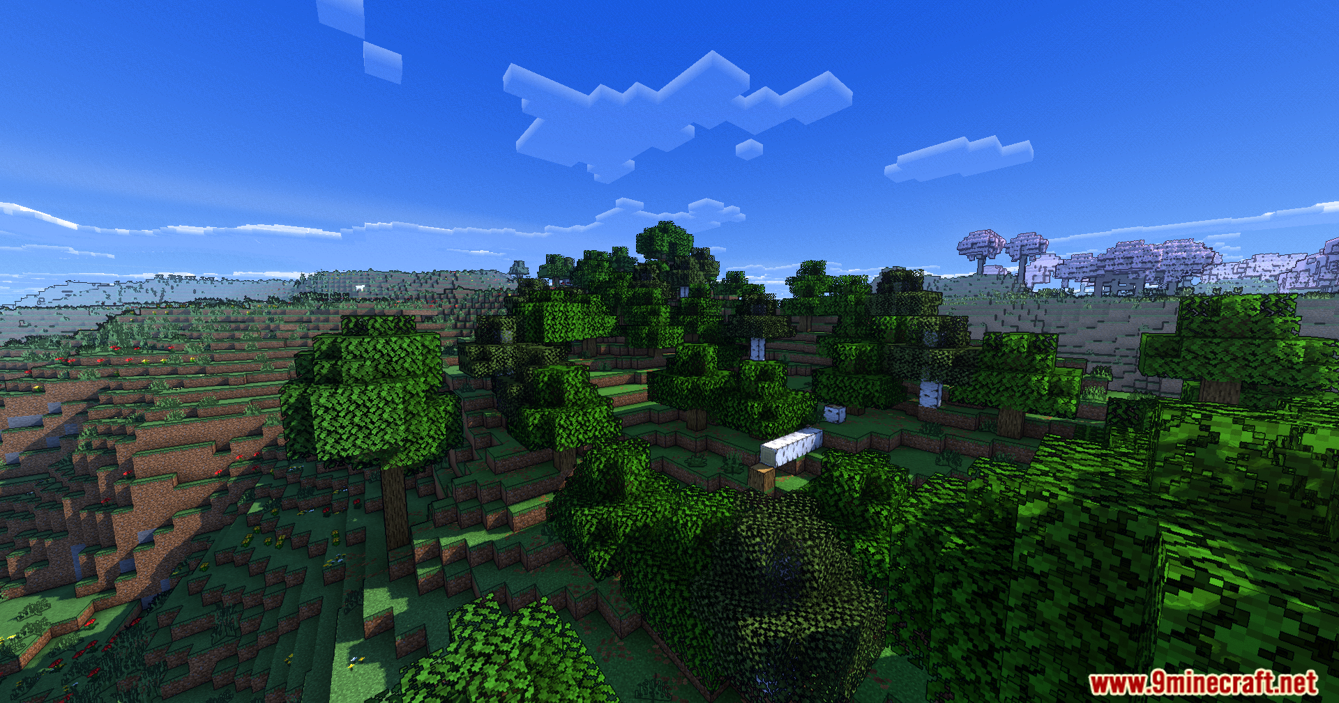 Lush green forest biome with cartoon style lighting and flat voxel clouds