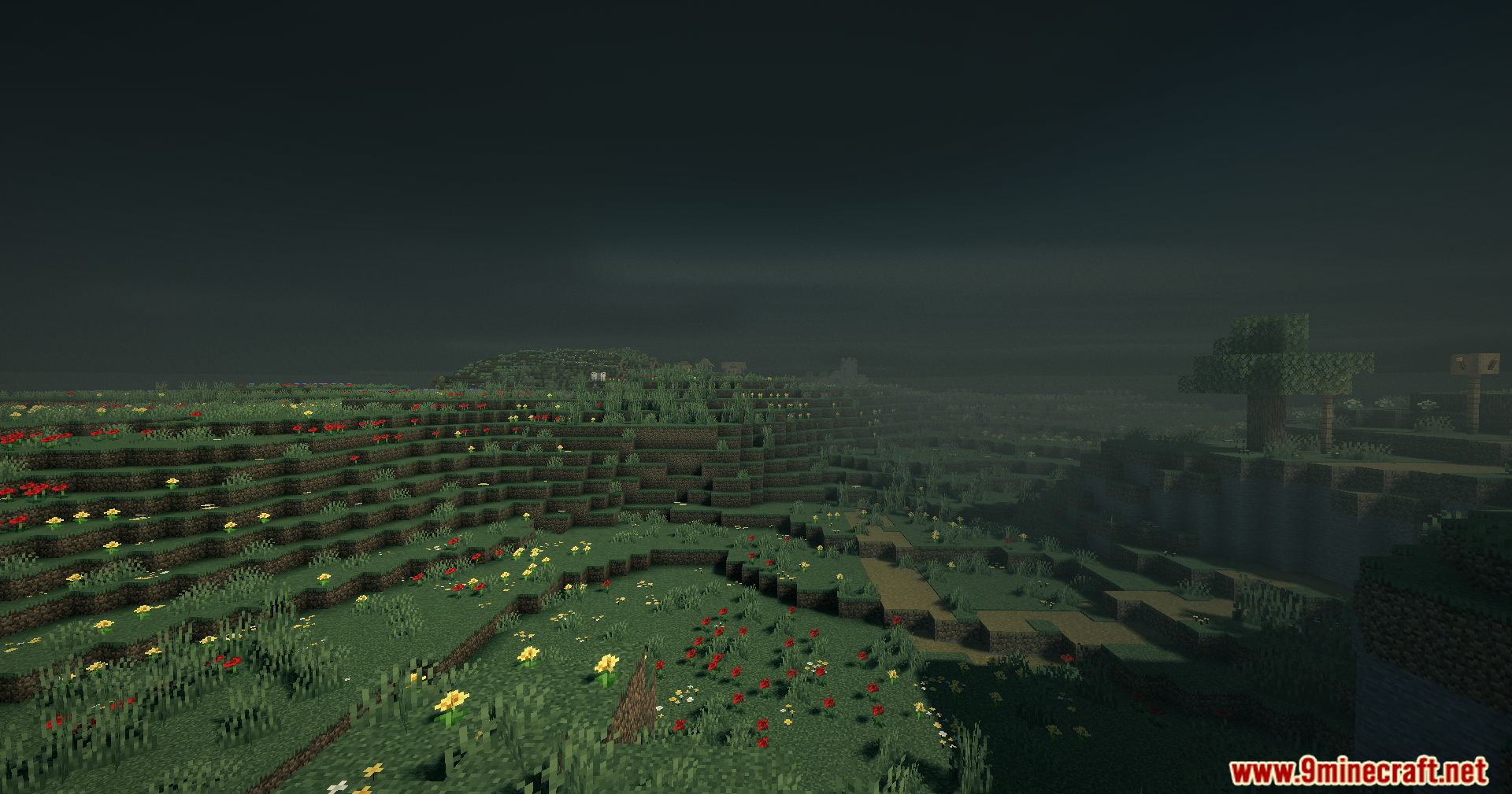 A dark Minecraft landscape with a flower field under a heavy grey fog