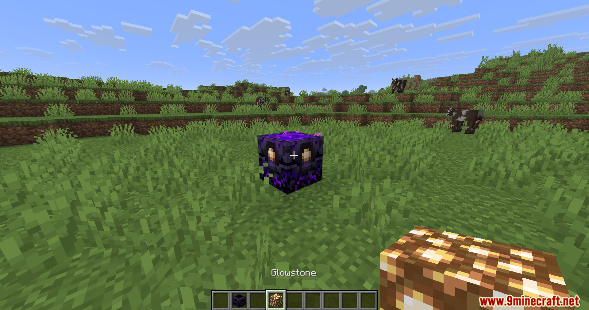 A player aims a glowstone block at a respawn anchor on the grass