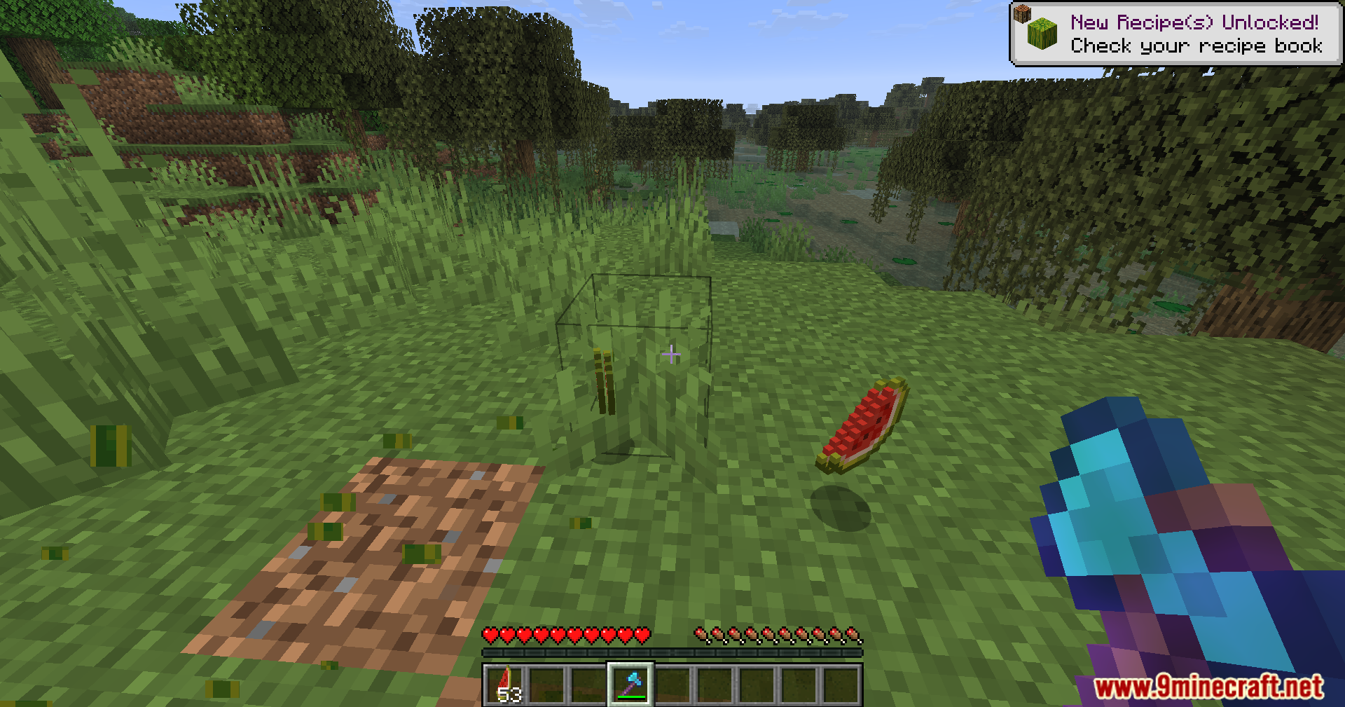 Melon slices dropped on the ground after harvesting a melon block in Minecraft