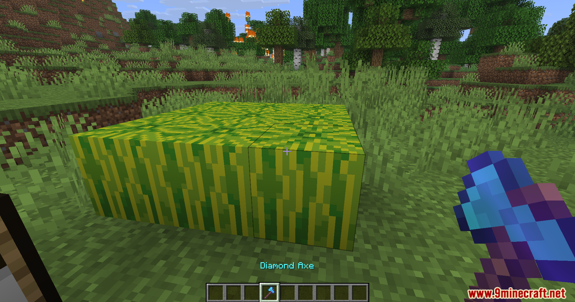 Using a Fortune III axe on melons to get more slices in Legacy Mechanics