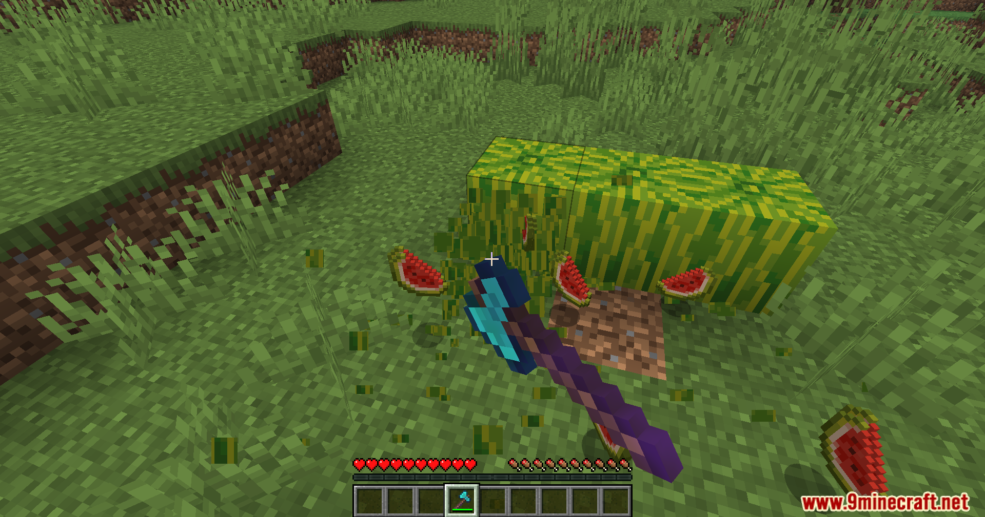 Multiple melon slices drop on the ground after harvesting with an enchanted axe