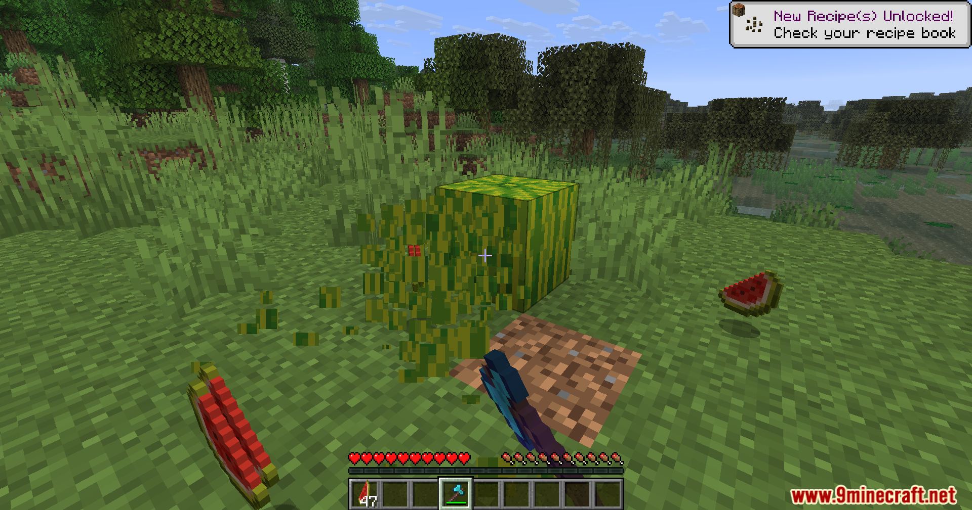 A player breaks a melon block with a diamond axe in a forest