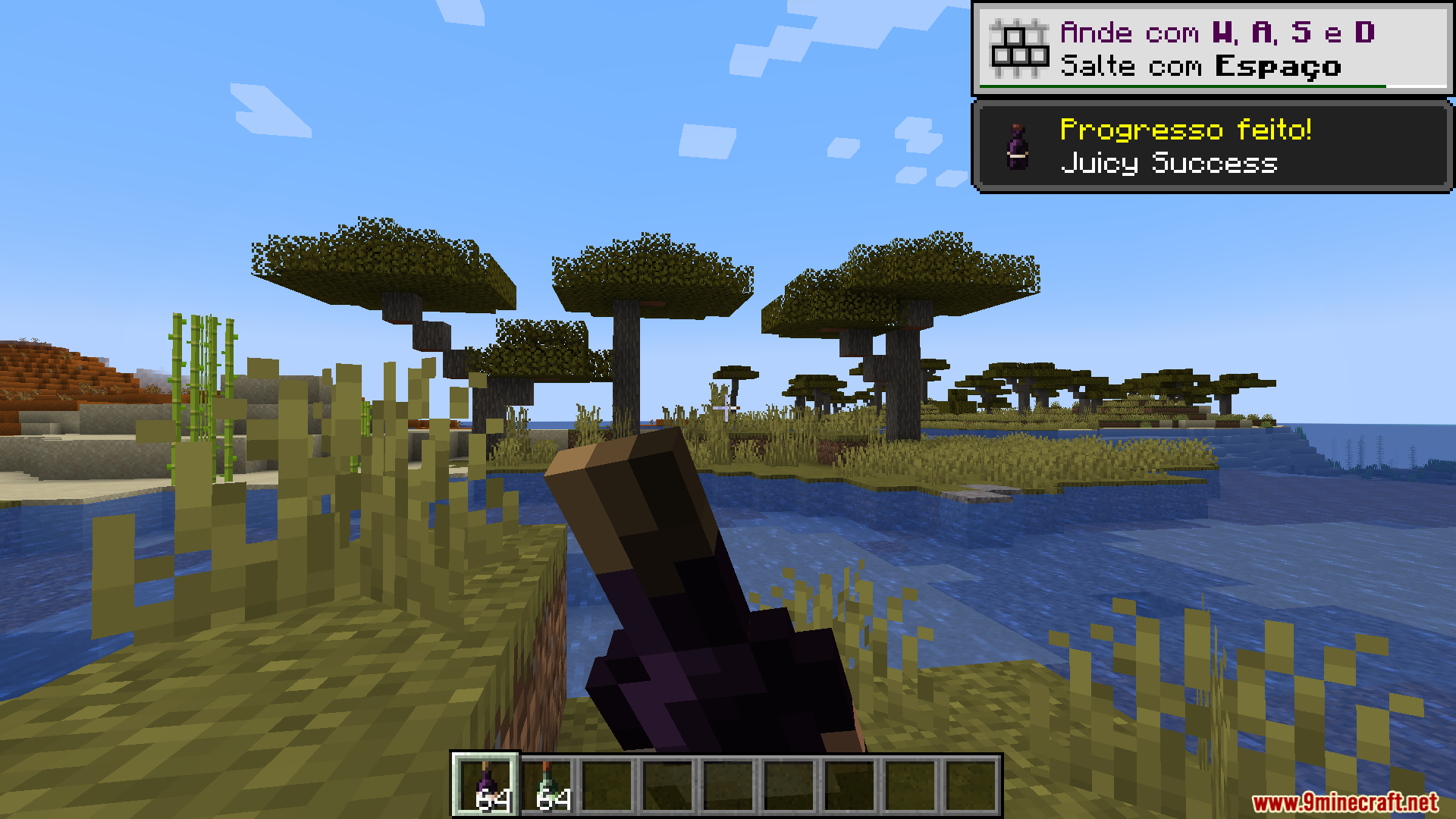Lets Do Vinery PT BR Translation Resource Pack Screenshot 3 A player holding a bottle with Portuguese translation text on the screen