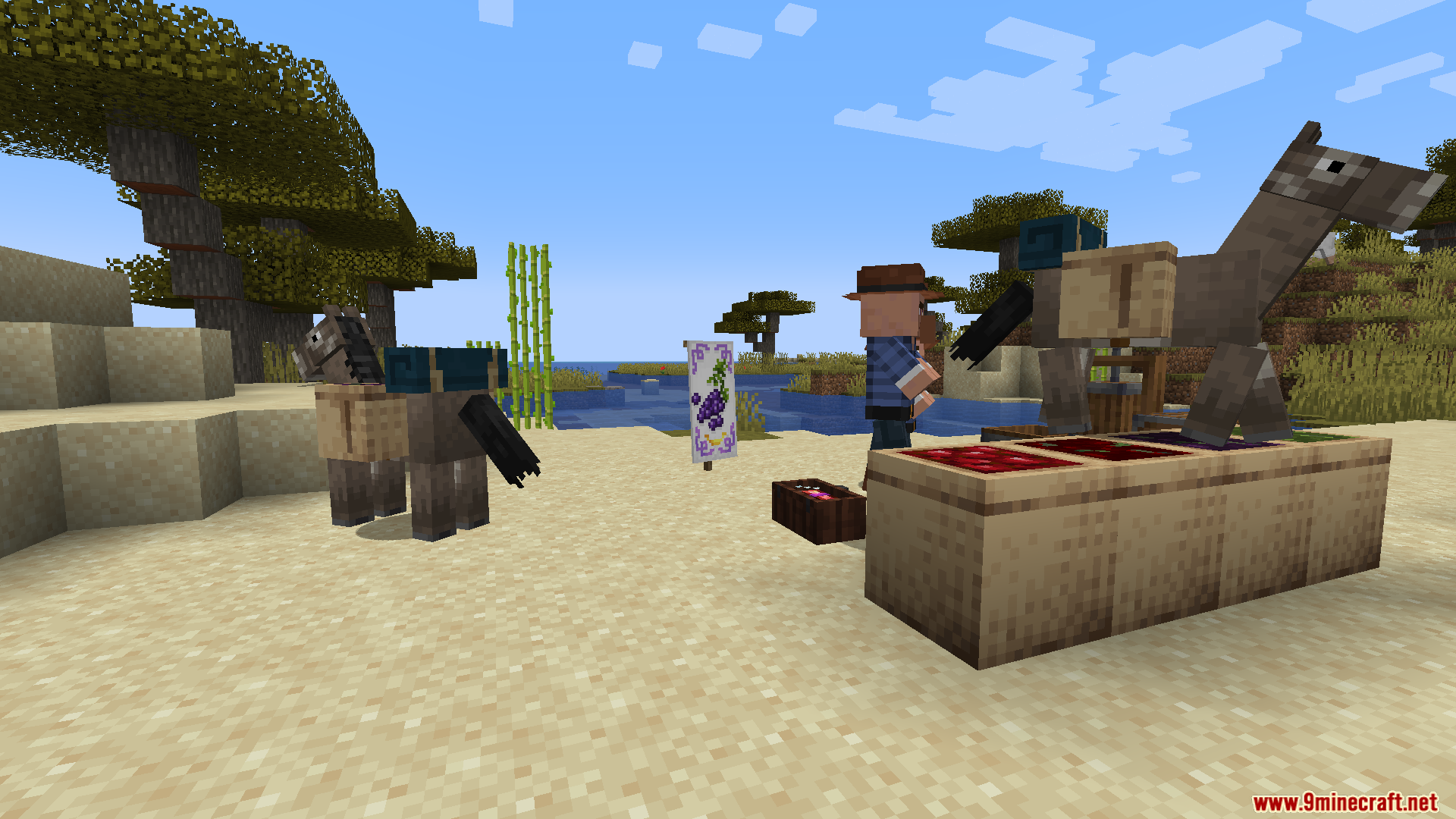 Lets Do Vinery PT BR Translation Resource Pack Screenshot 6 A merchant standing near donkeys and a wine making station on sand