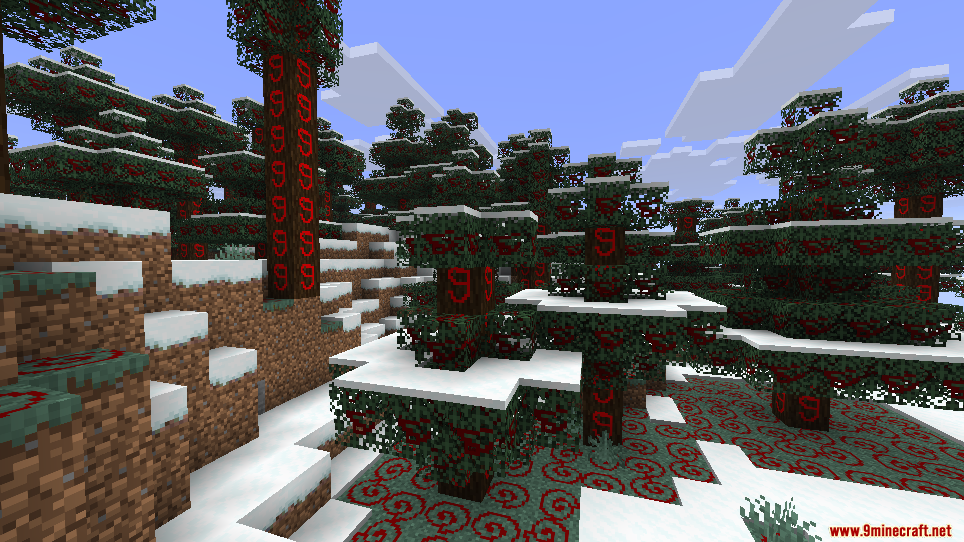 Spruce forest with red symbols painted on trees and ground blocks