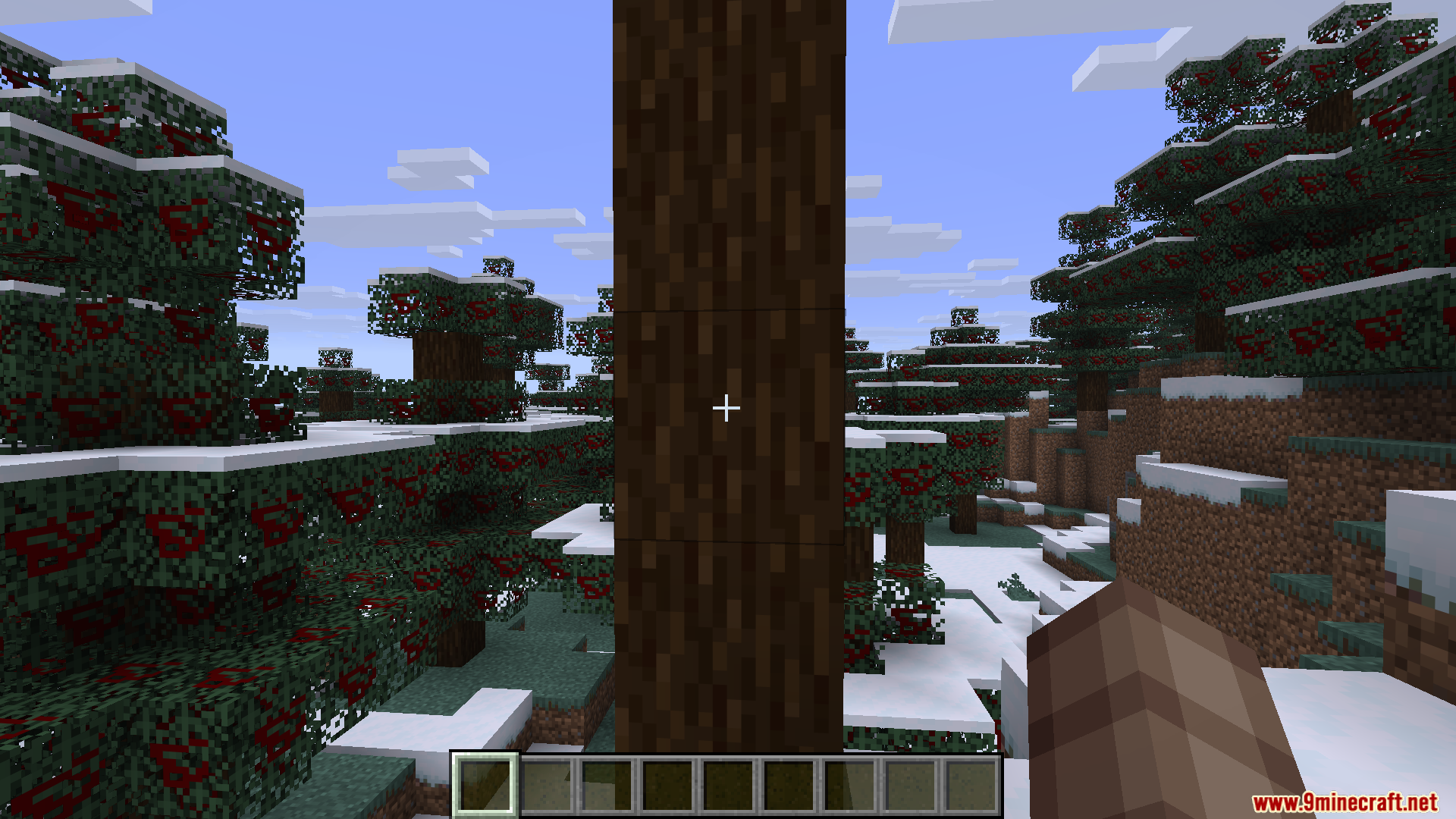 A player standing in a snowy forest looking at a tree trunk