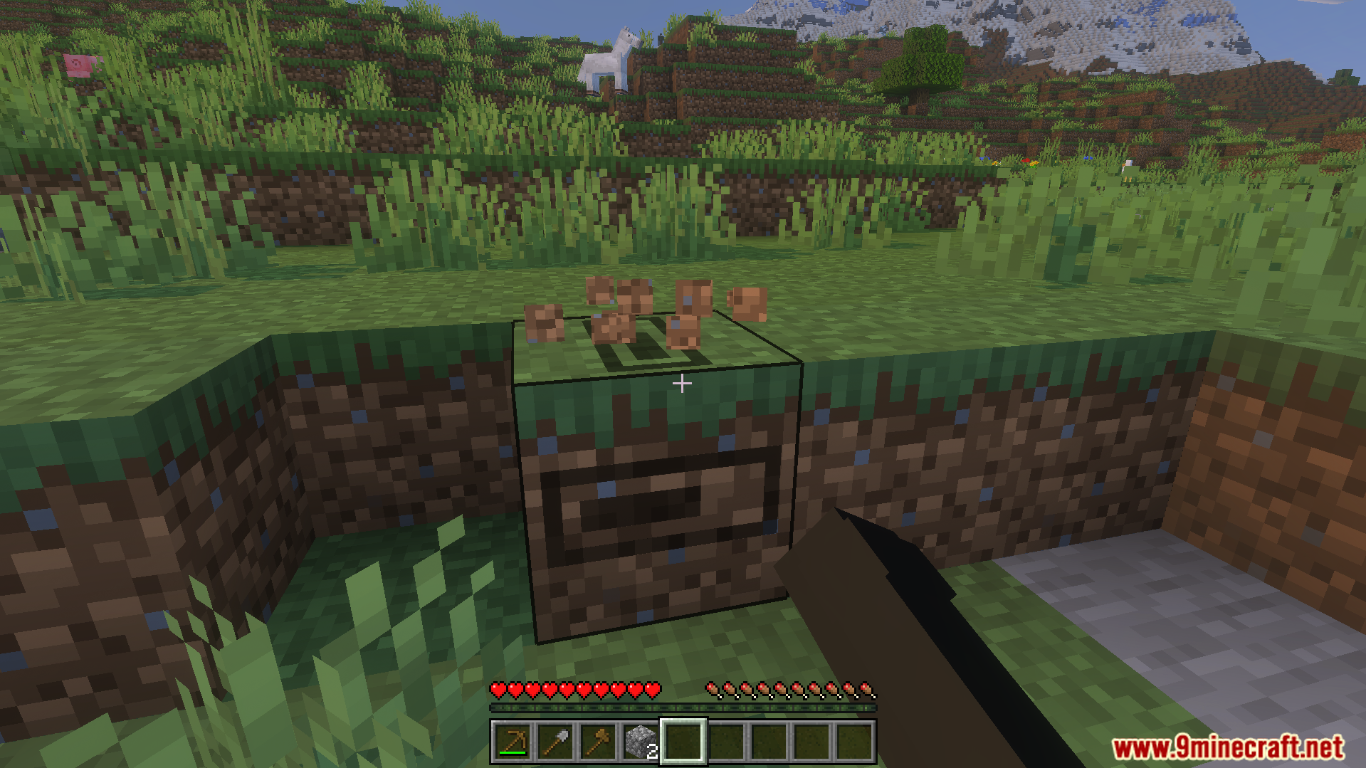A progress bar appears on a grass block while it is being broken