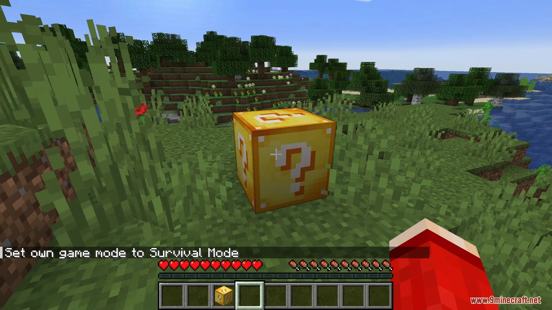 A golden block with a white question mark sits on the green grass